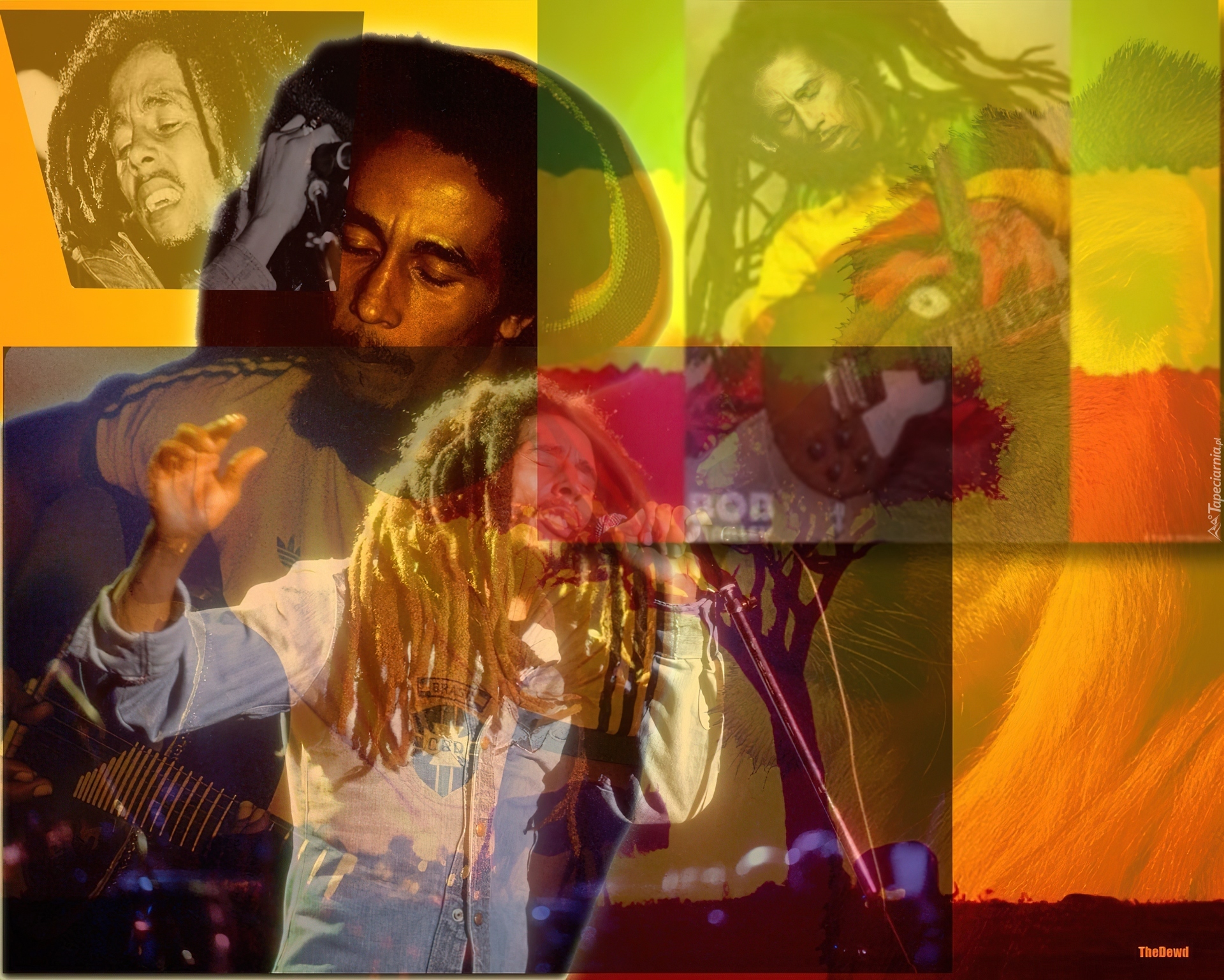 Reggae, Bob Marley, Rasta