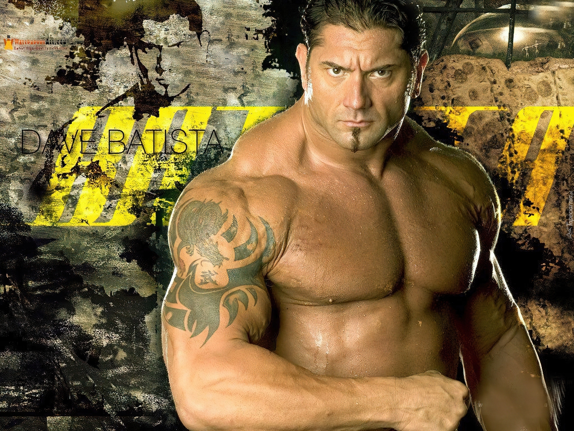 Batista, Dave Bautista, Wrestling, WWE, Aktor, Wrestler
