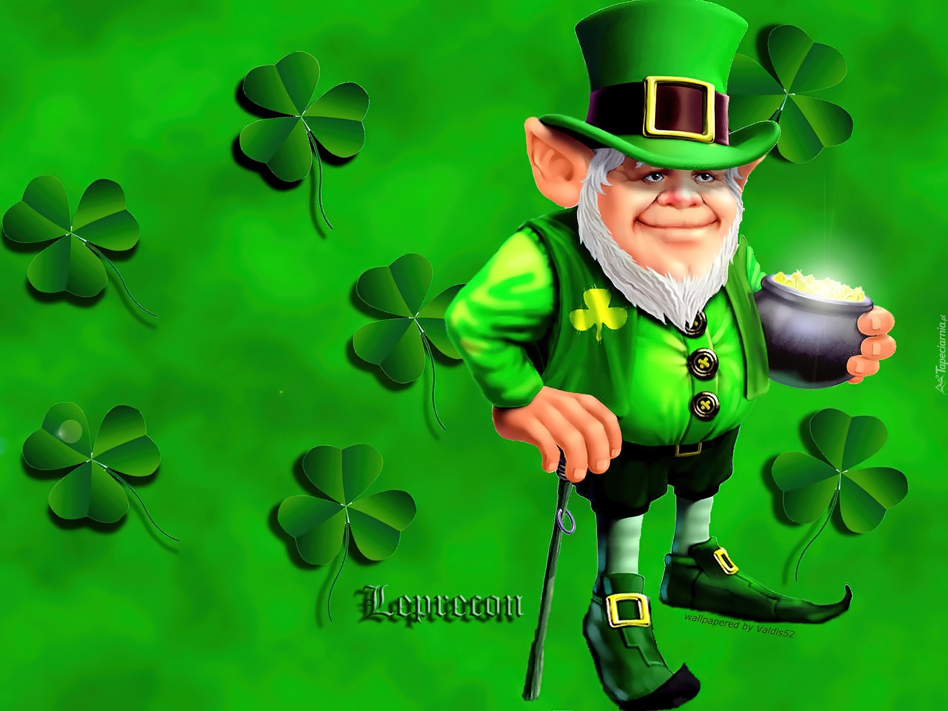 Leprecon, Irlandzki, Skrzat