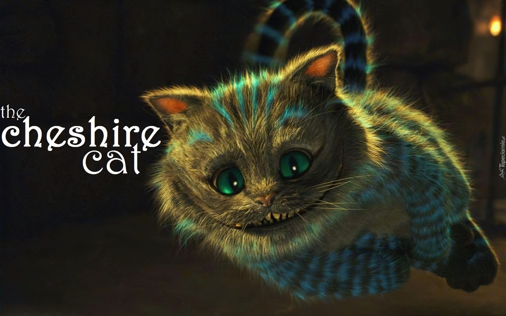 Alicja w Krainie Czarów, Alice in Wonderland, Kot