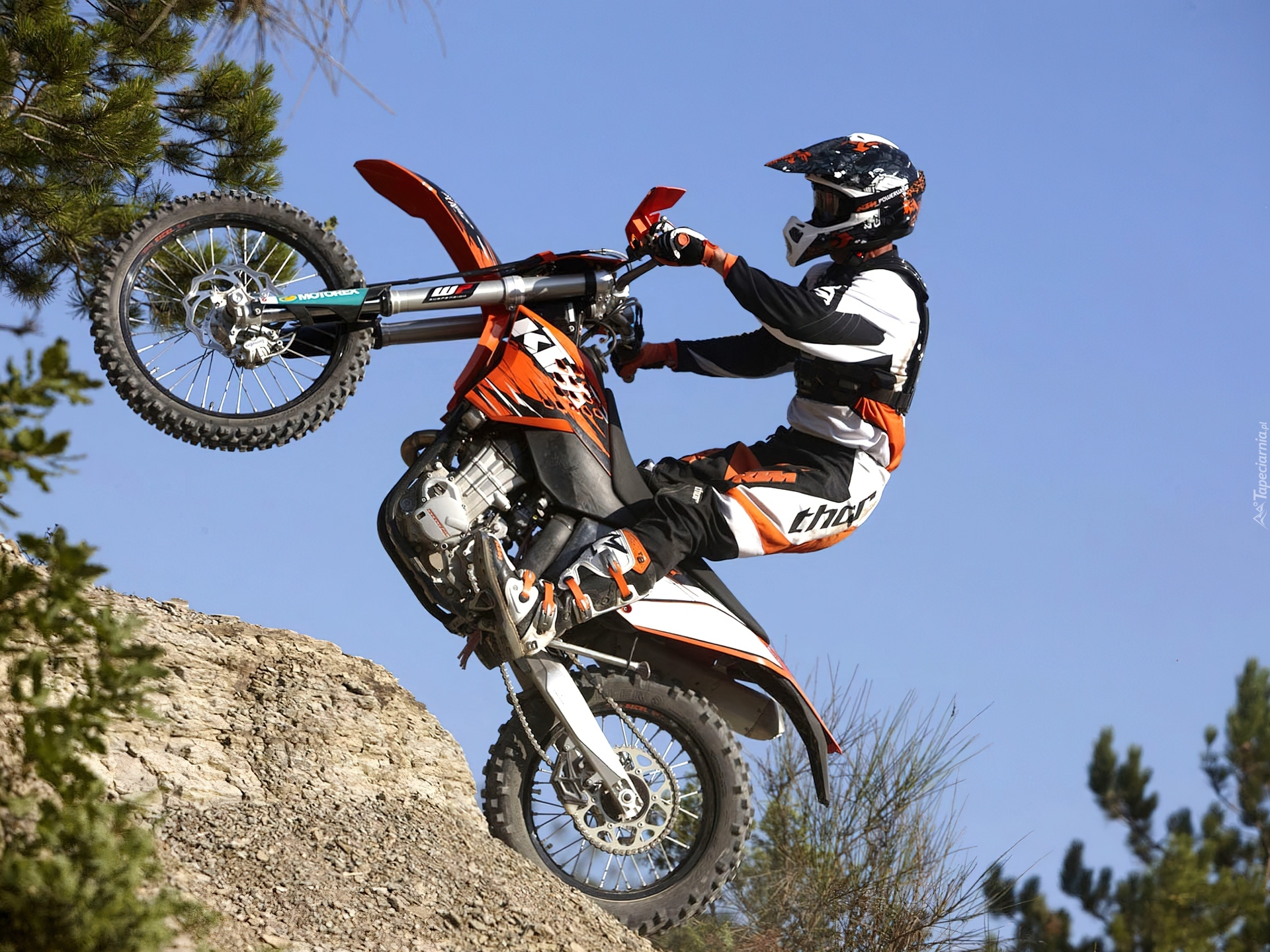 KTM 450 EXC, Stromy, Podjazd