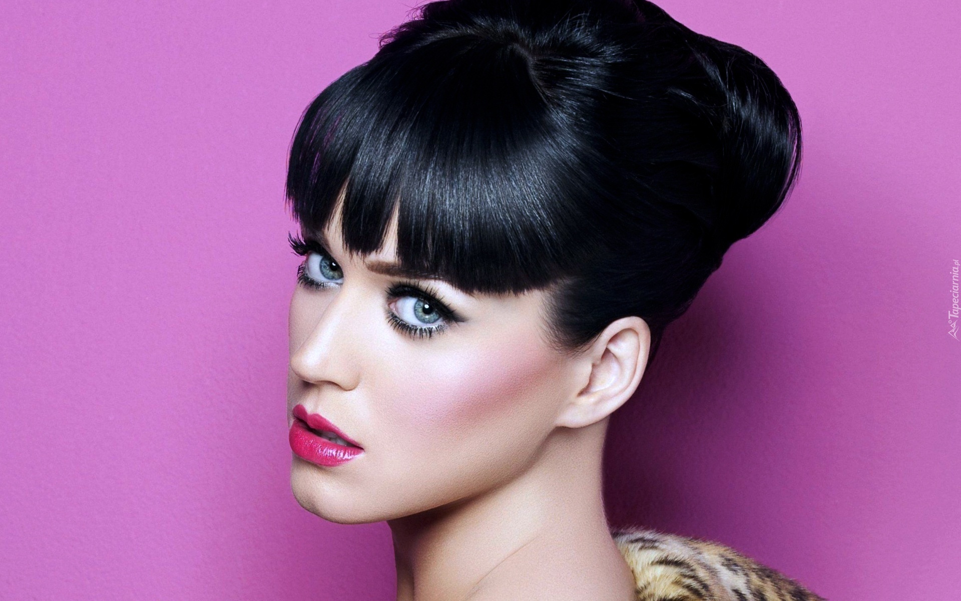 Piosenkarka, Katy Perry