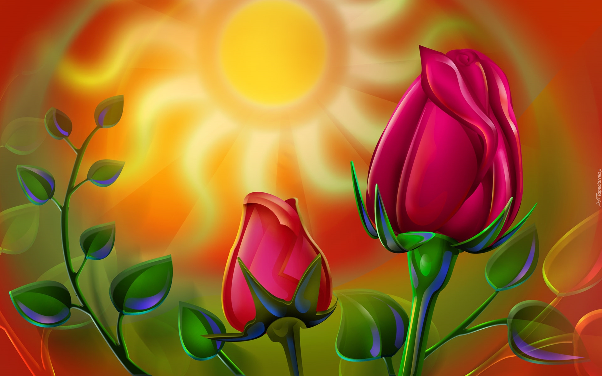 Słońce, Róże, Pąki