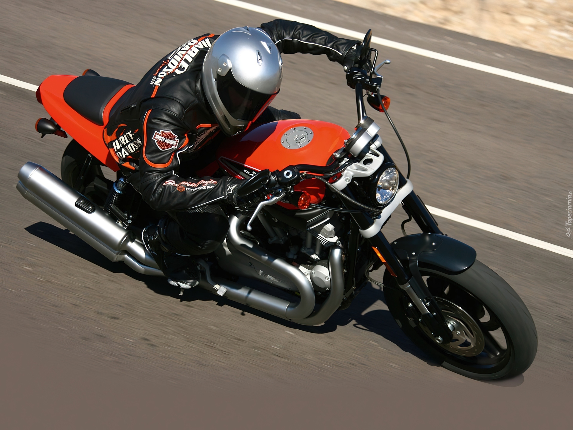 Harley-Davidson XR1200, Tor, Wyścigowy