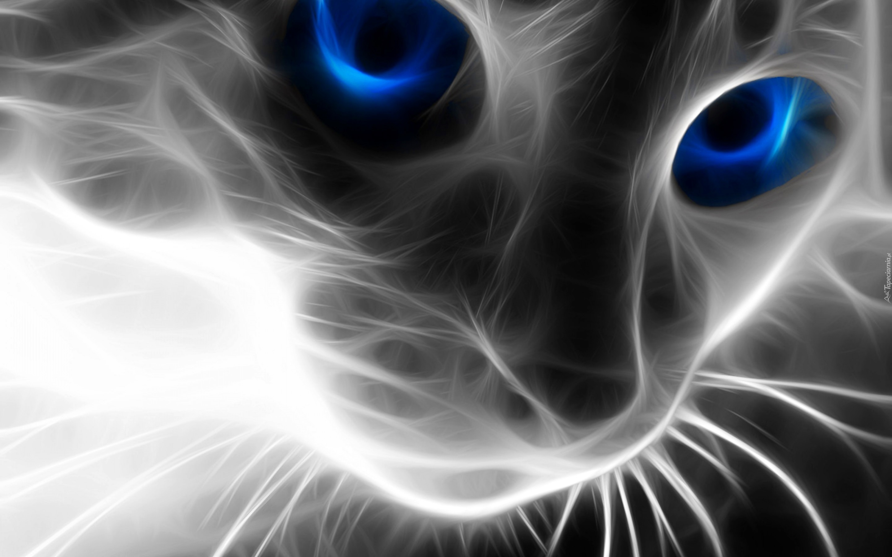 Kot, Sierść, Niebieskie, Oczy, 3D