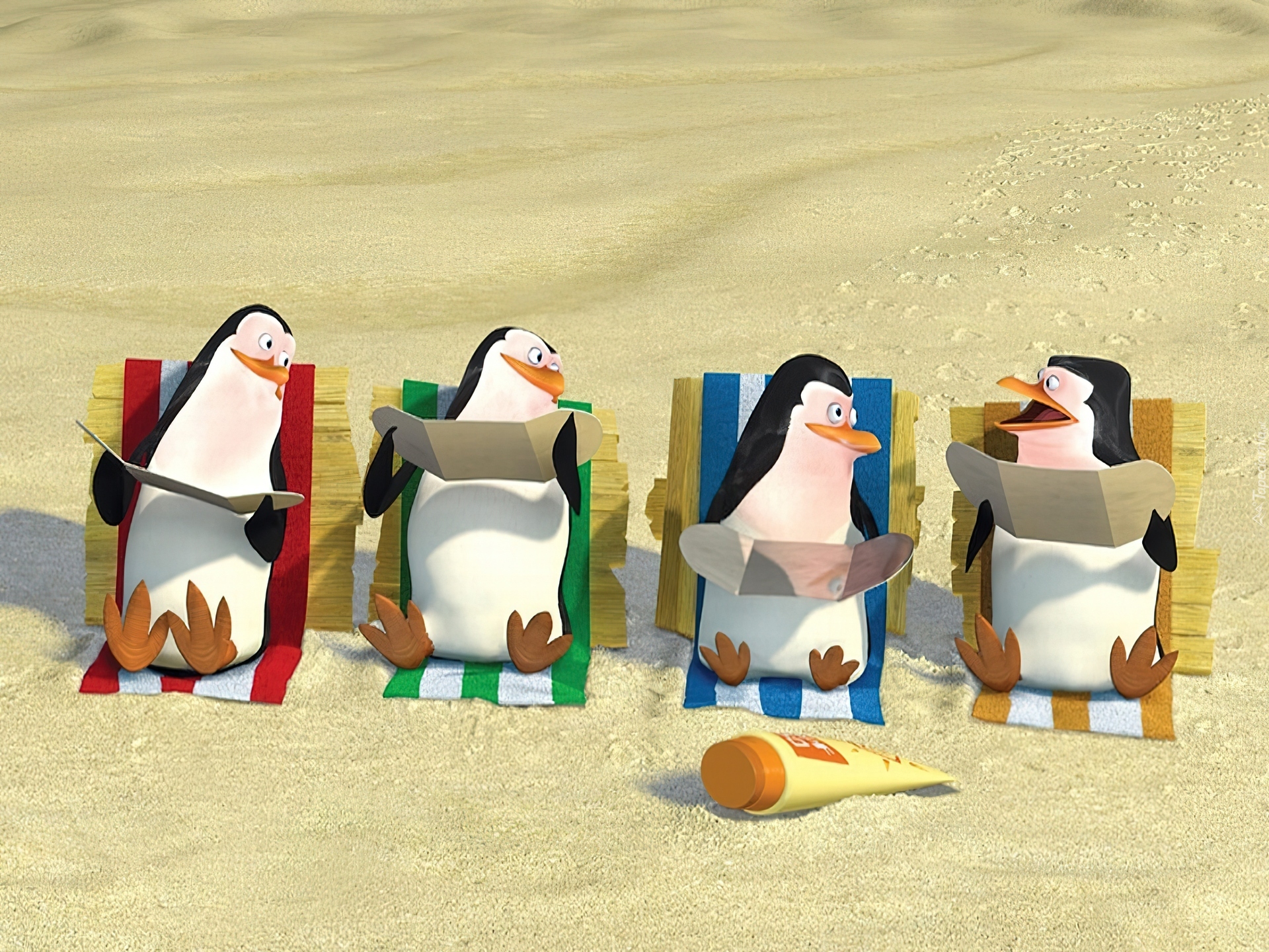 Pingwiny Z Madagaskaru, The Penguins of Madagascar, Pingwiny, Plaża