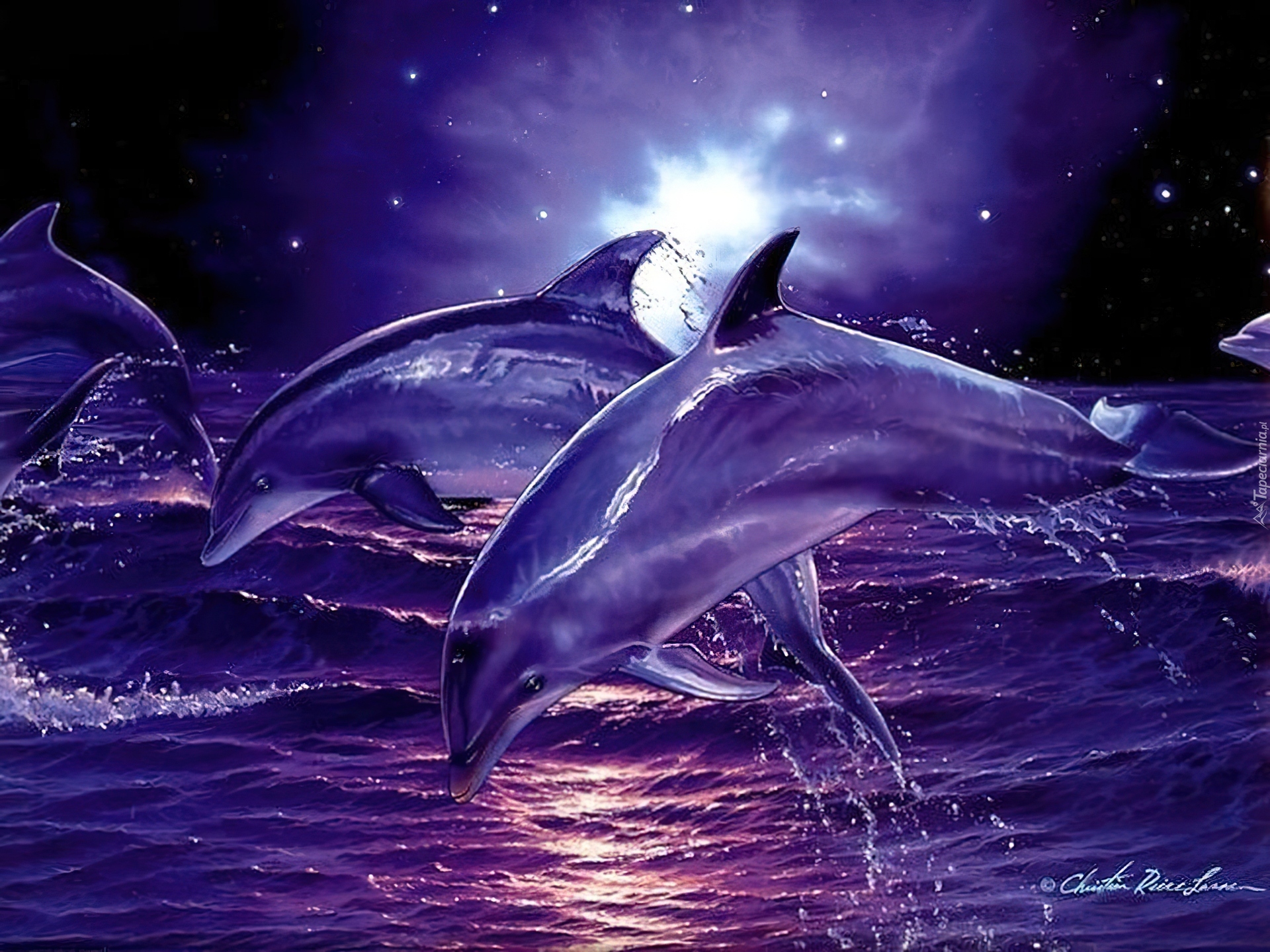 Delfiny, Morze, Fale