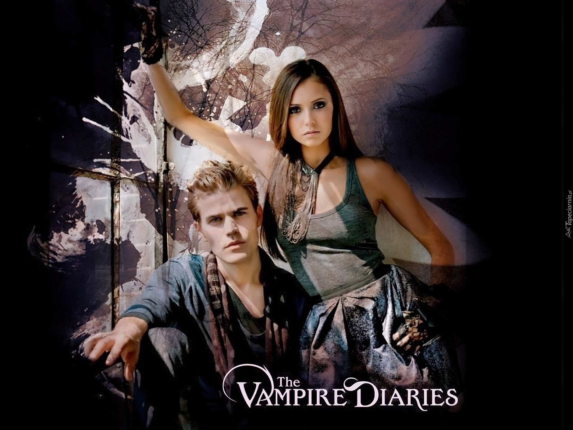 Pamiętniki wampirów, The Vampire Diaries, Paul Wesley, Nina Dobrev