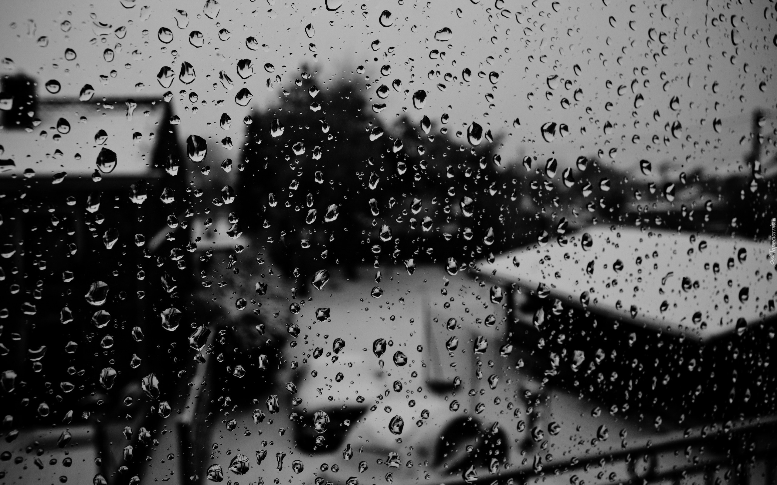 Image result for dancing back to back in rain