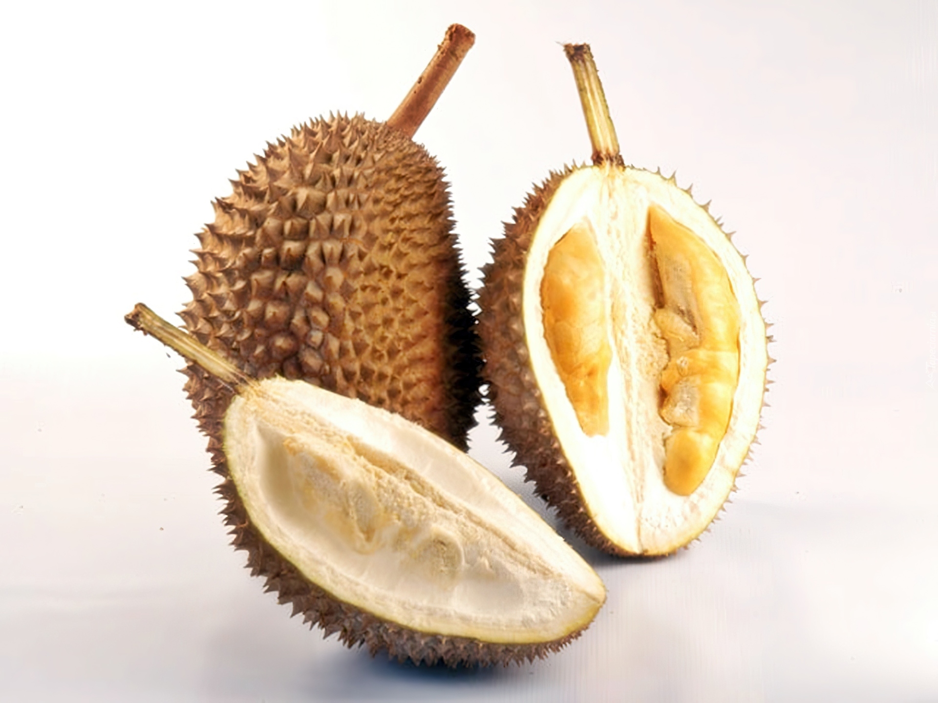 Duriany, Owoce