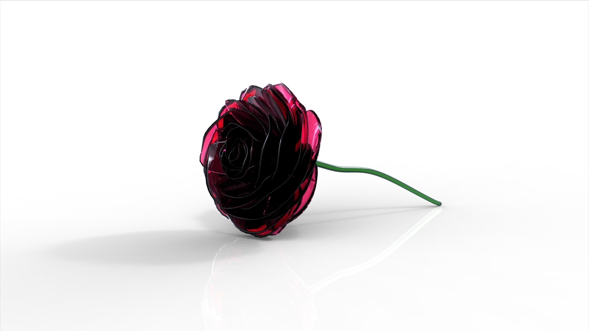 Róża, 3D