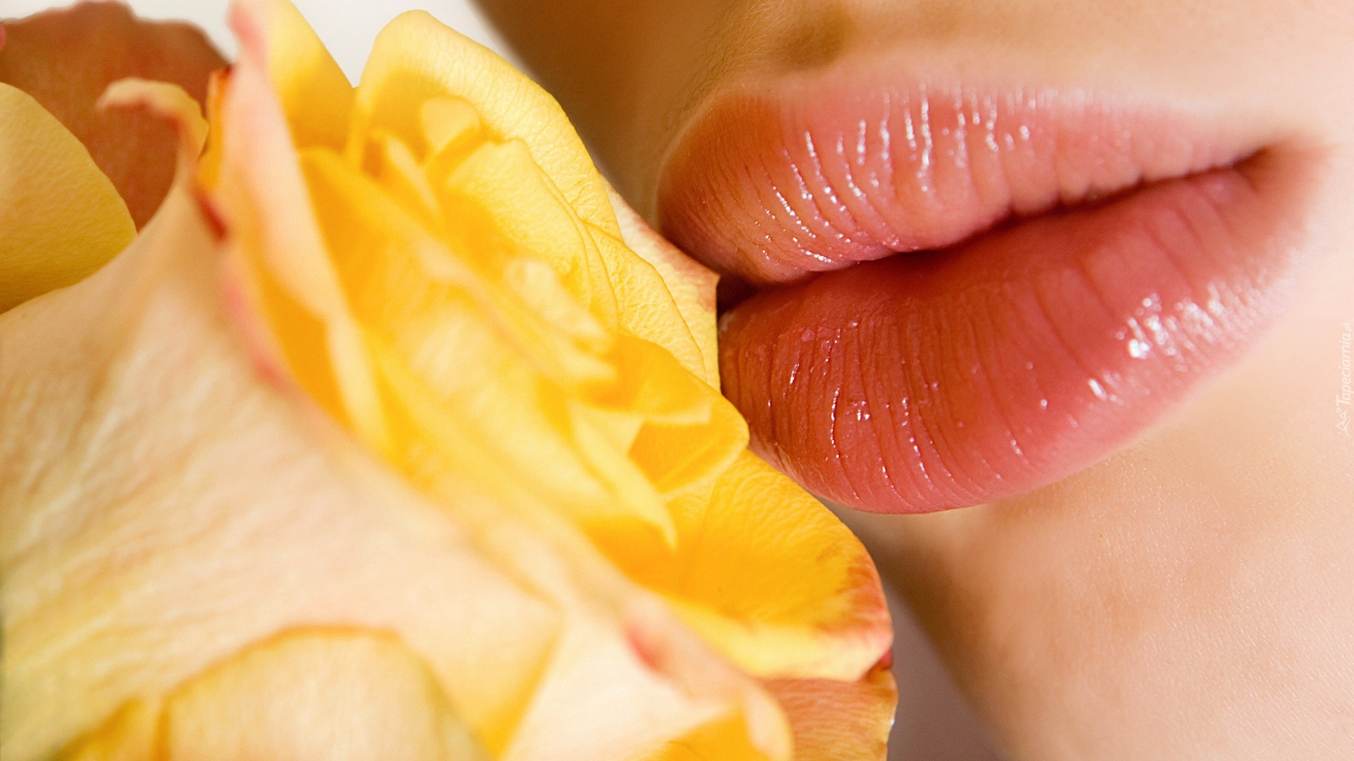 Usta, Kobiety, Żółta, Róża