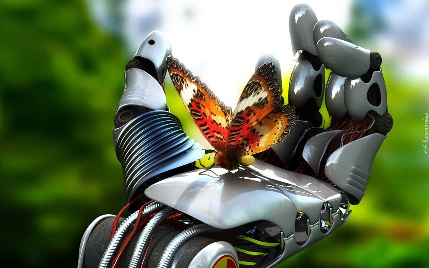 Dłoń, Robota, Motyl