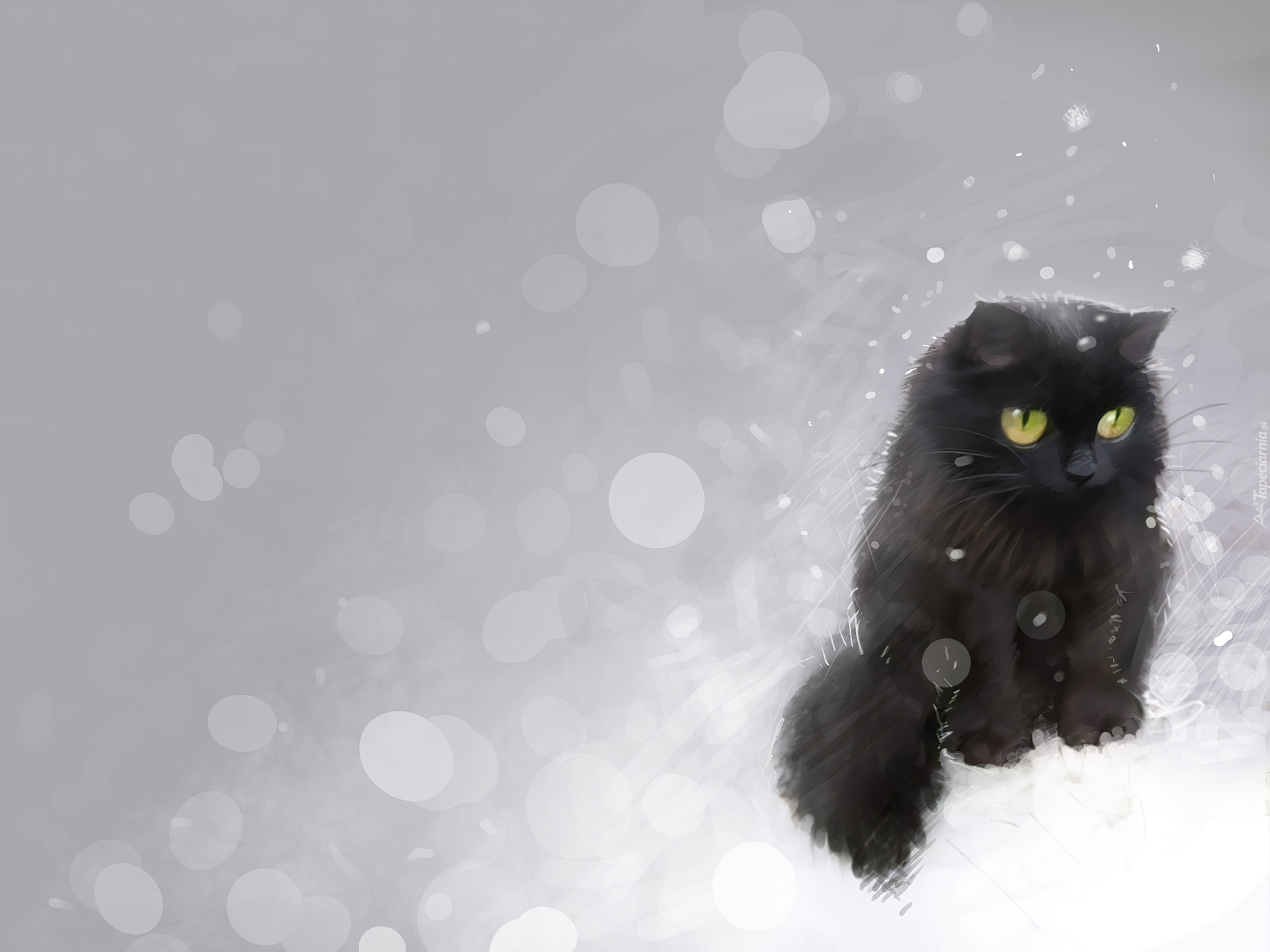 Czarny, Kot, Śnieg