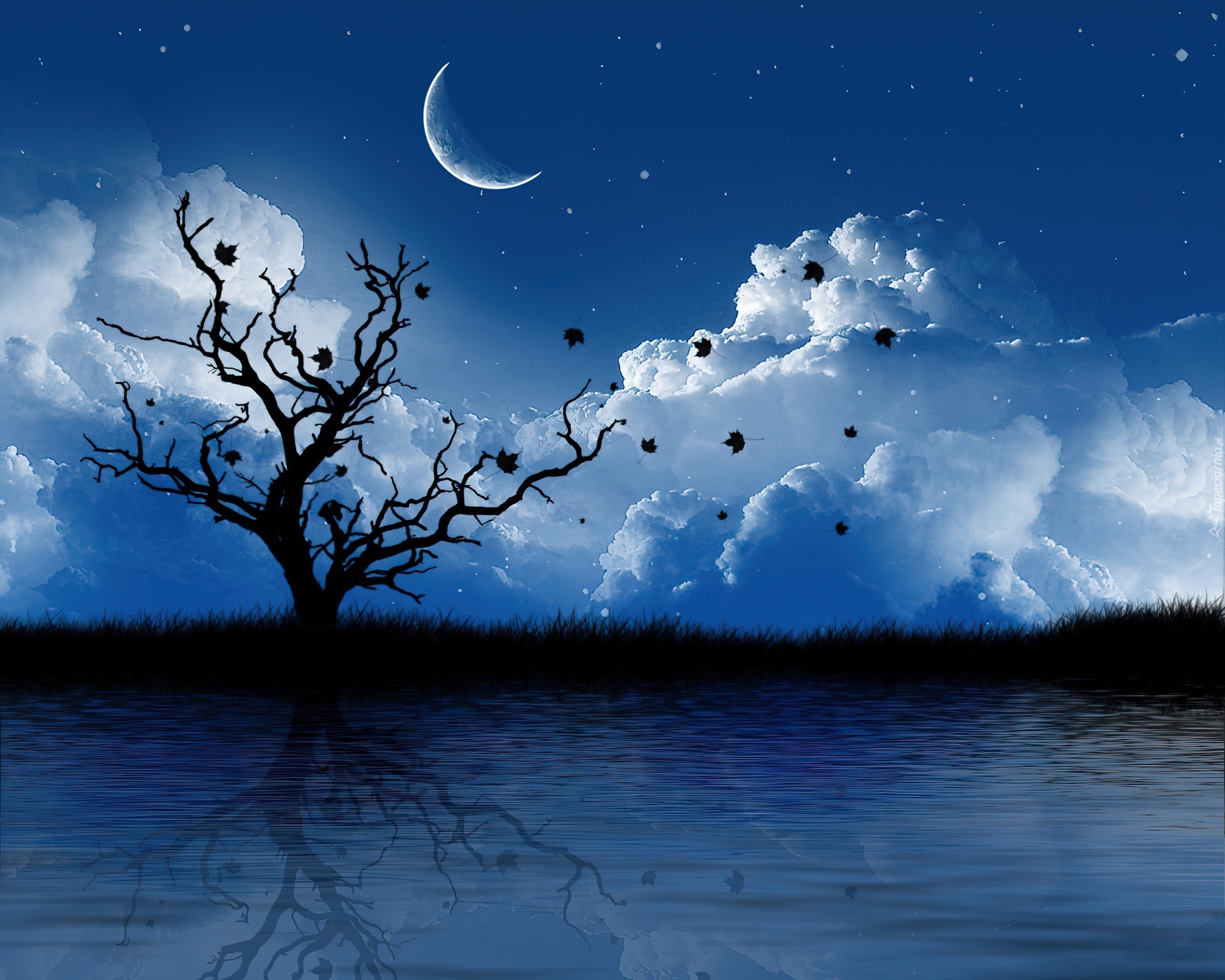 Jezioro, Drzewo, Odbicie, Chmury, Księżyc, Grafika