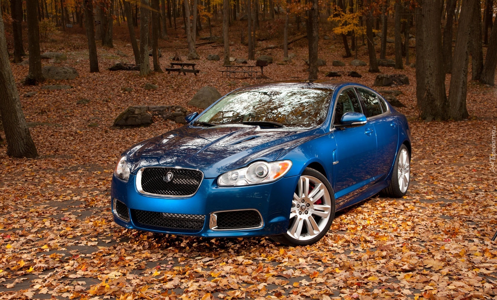 Niebieski, Jaguar XF