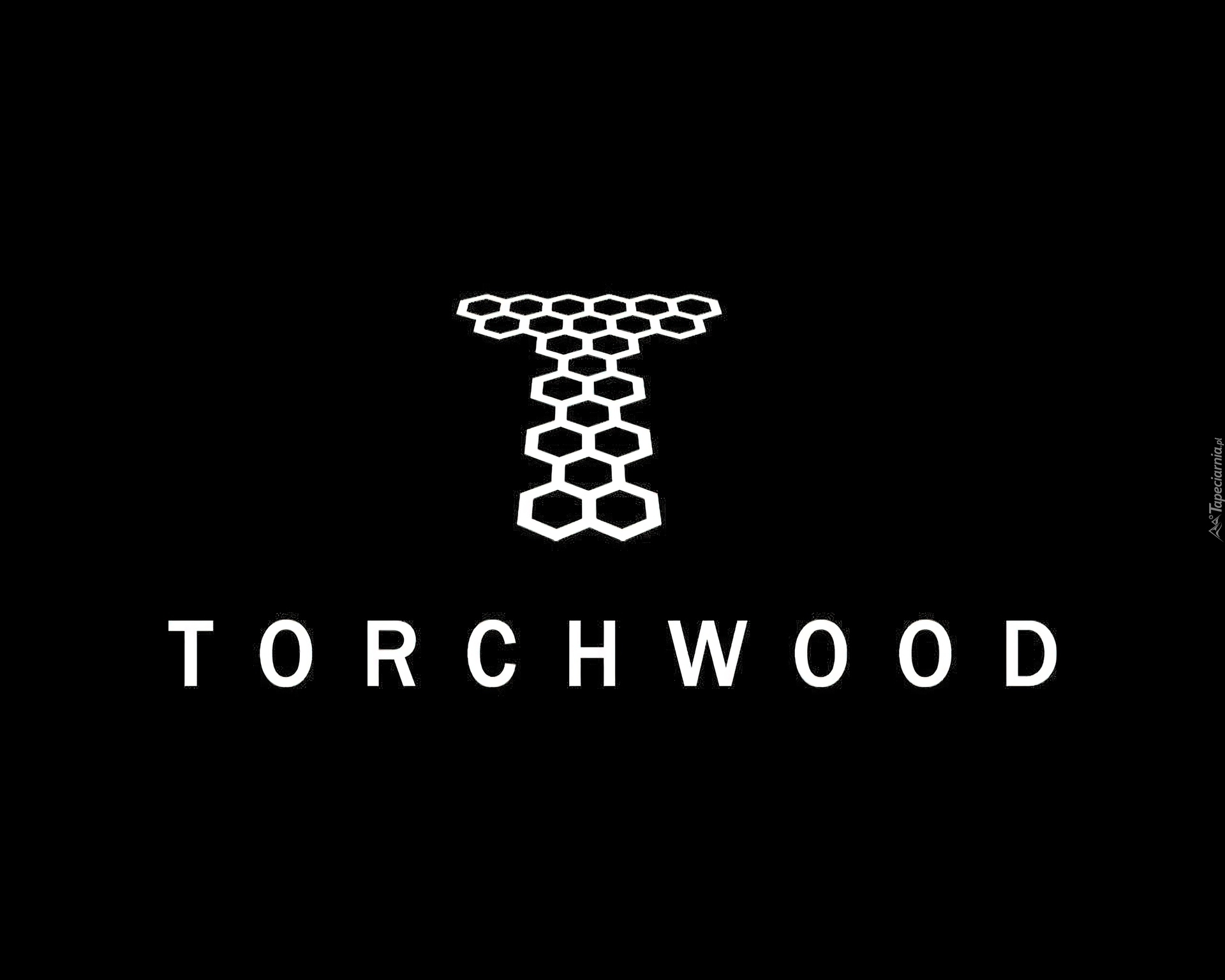 Torchwood, Serial