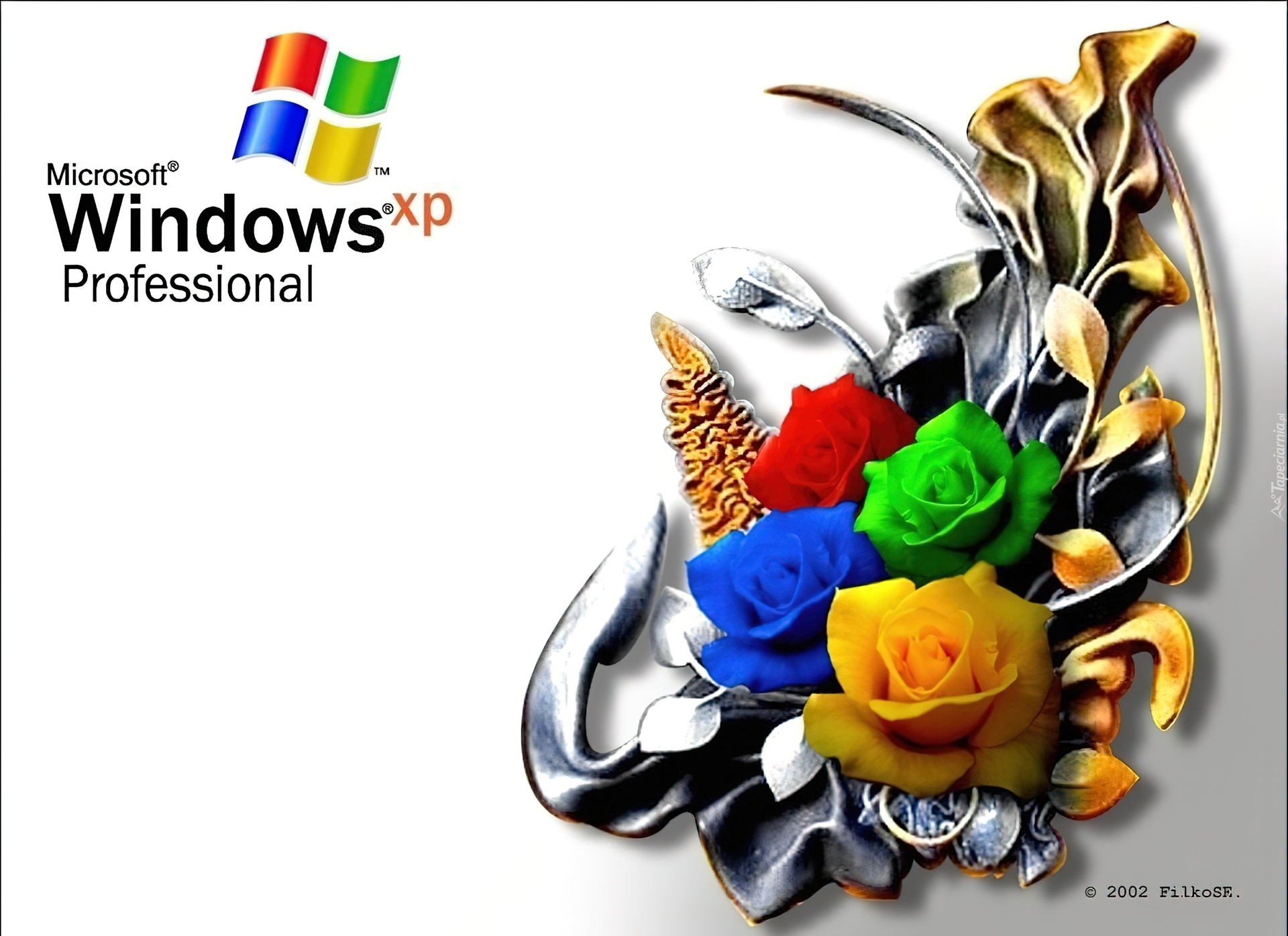 Windows, XP, Wiązanka, Róż