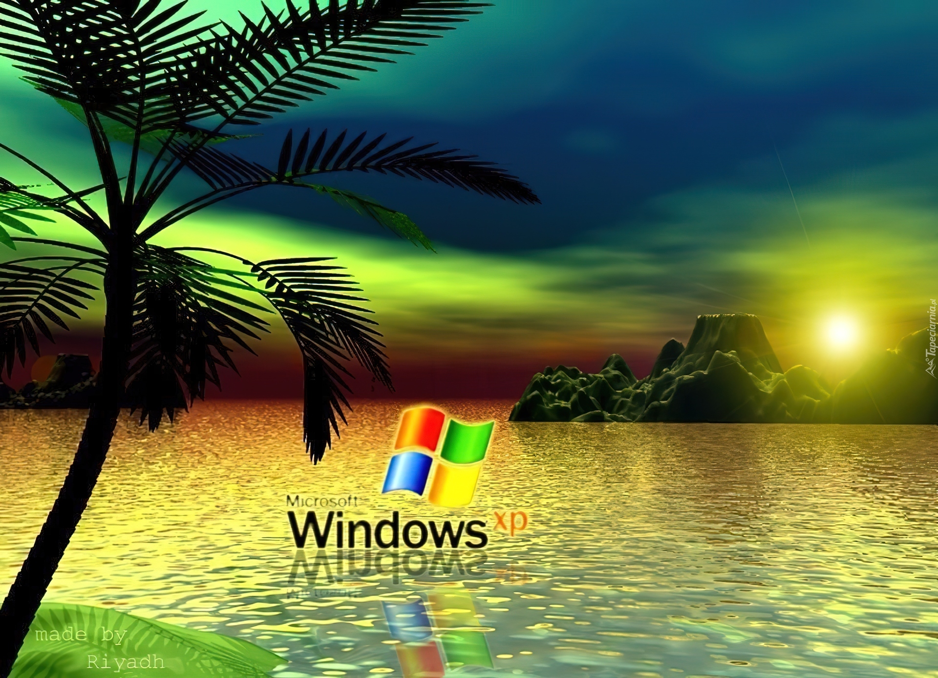 Logo, Windows, XP, Morze, Skały, Palma