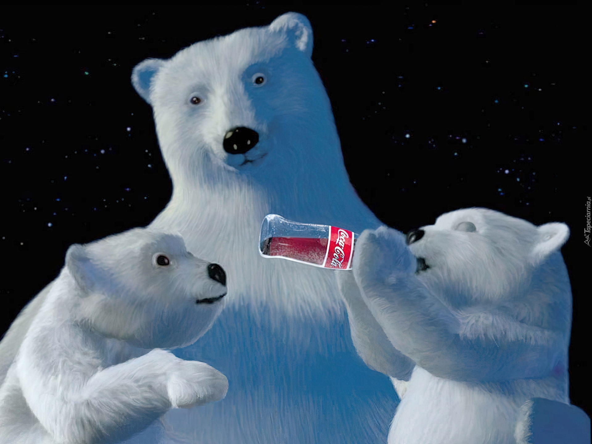 Niedźwiedzie polarne, Coca-Cola