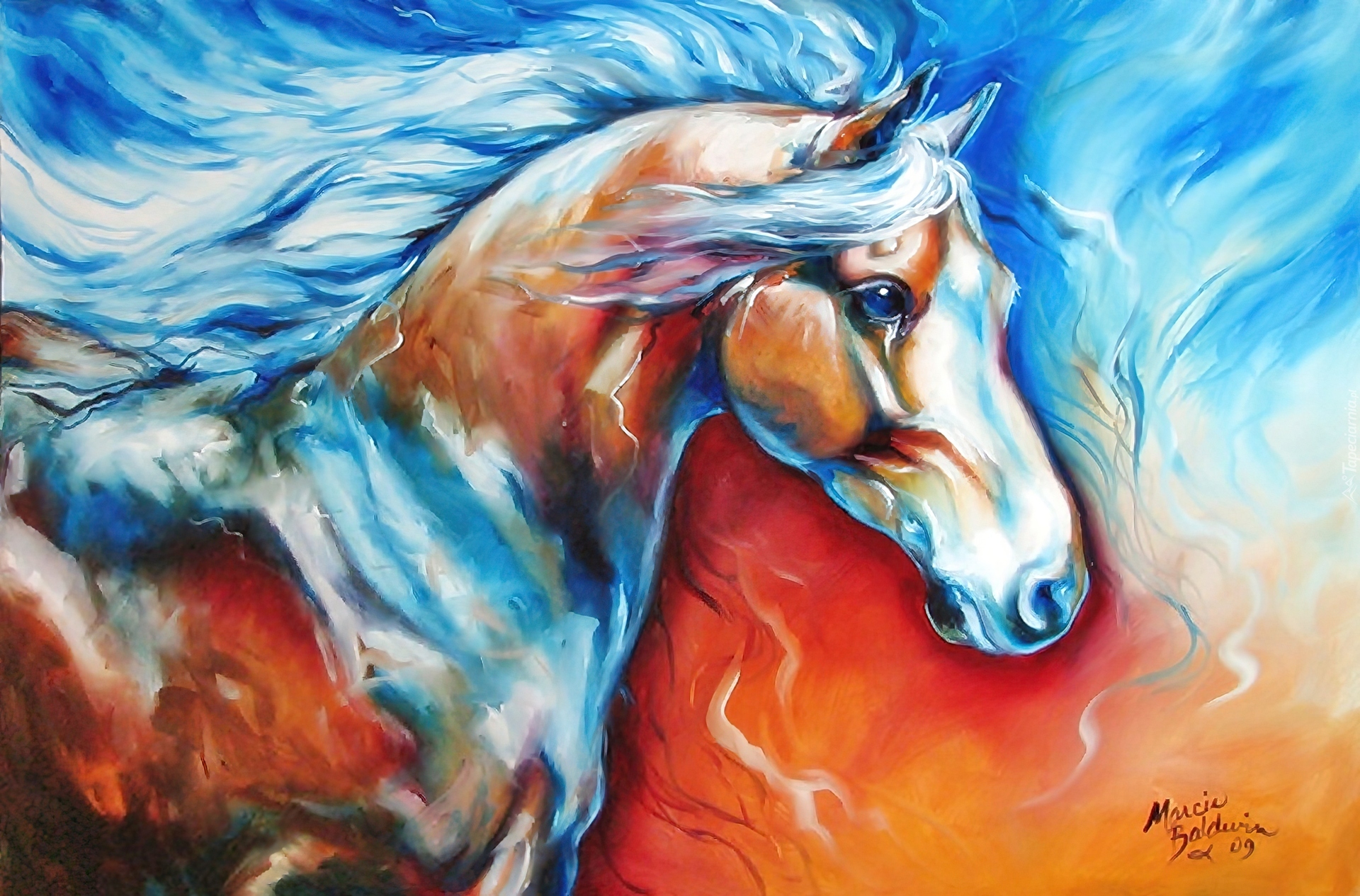Koń, Reprodukcja, Obrazu, Marcia Baldwin