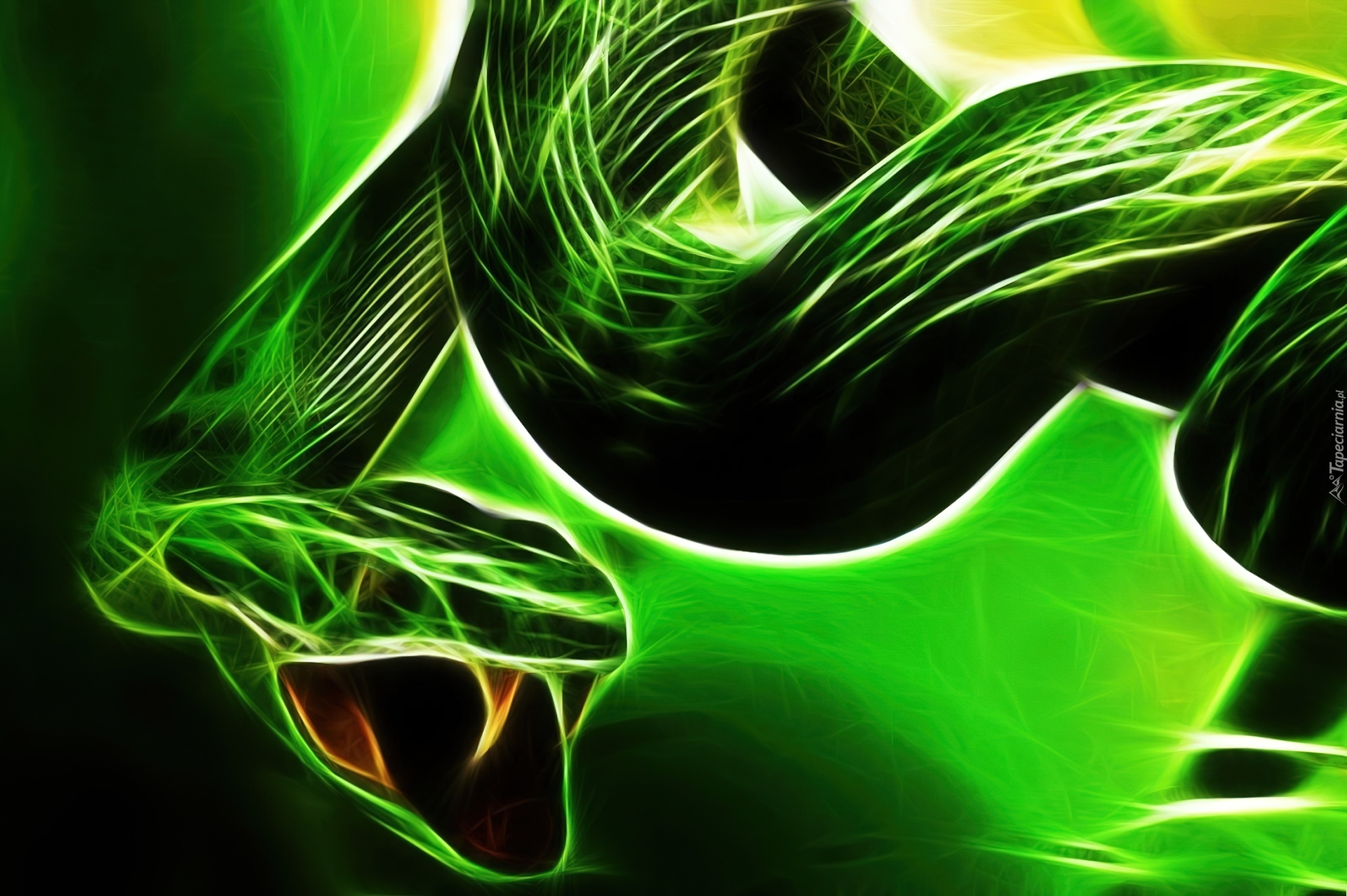Zielony, Wąż, Grafika