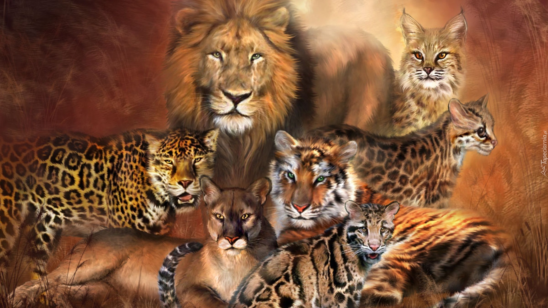 Lew, Lampart, Puma, Tygrys, Duże, Koty