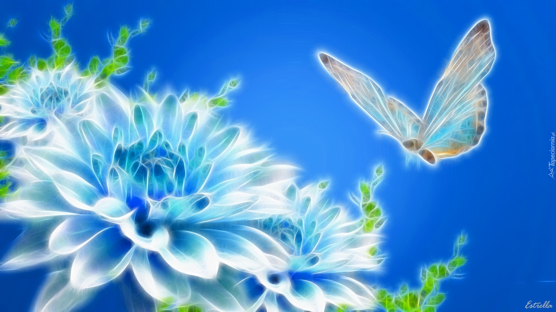 Niebieskie, Tło, Kwiat, Motyl, 3D