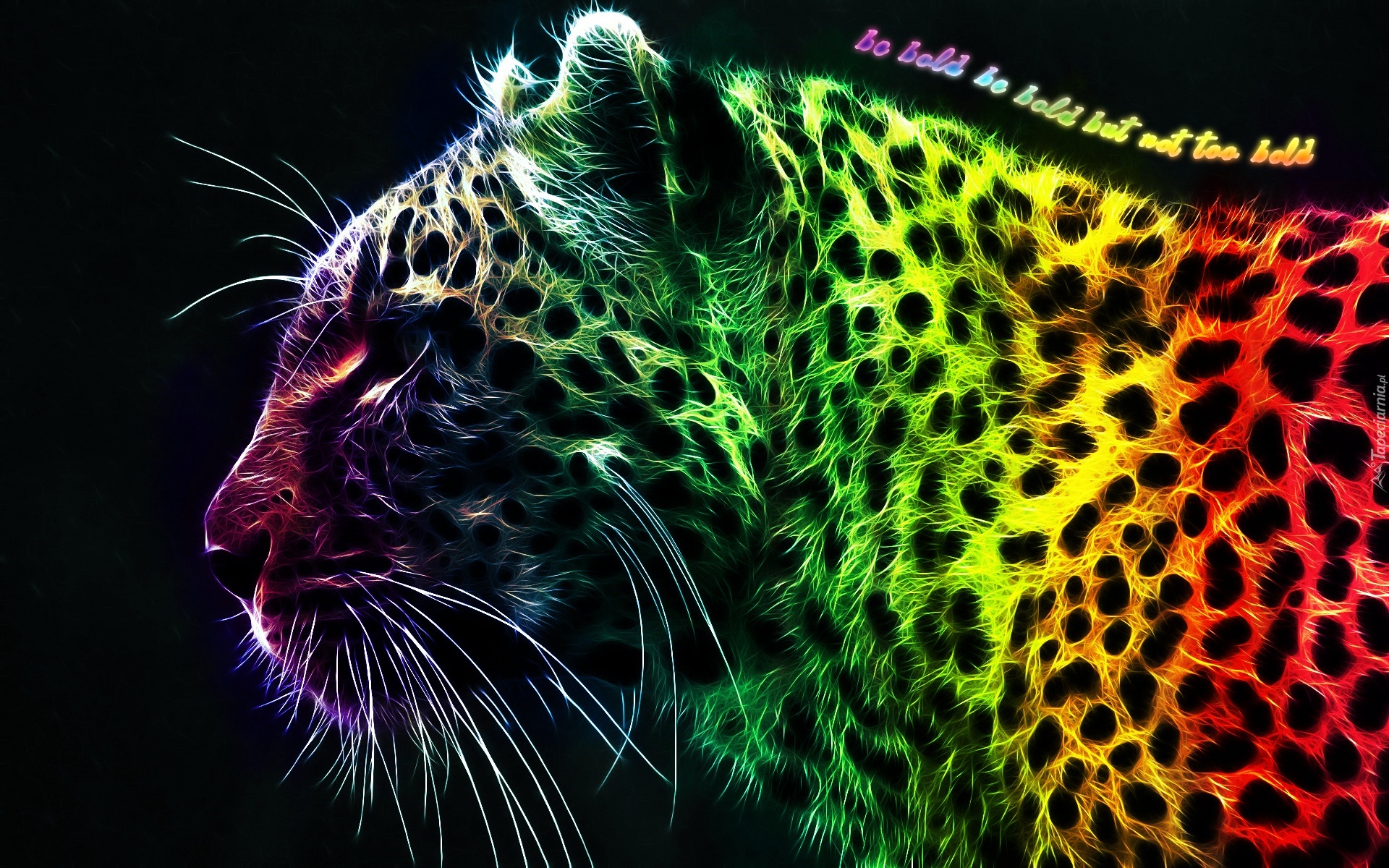 Leopard, Kolorowy, Fractalius