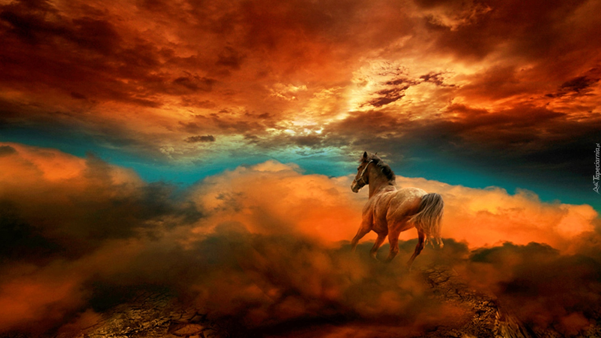 Koń, Chmury, Zachód, Słońca