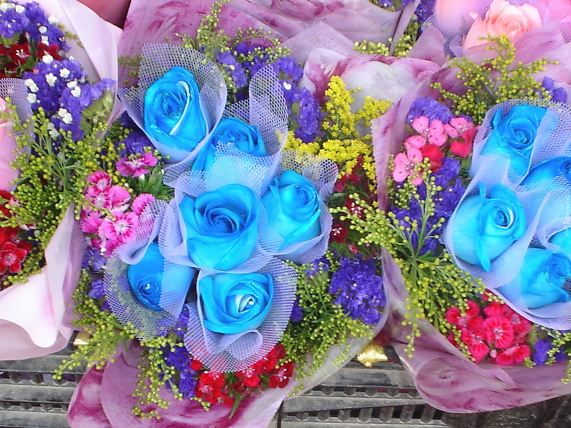 Bukiety, Niebieskie, Róże