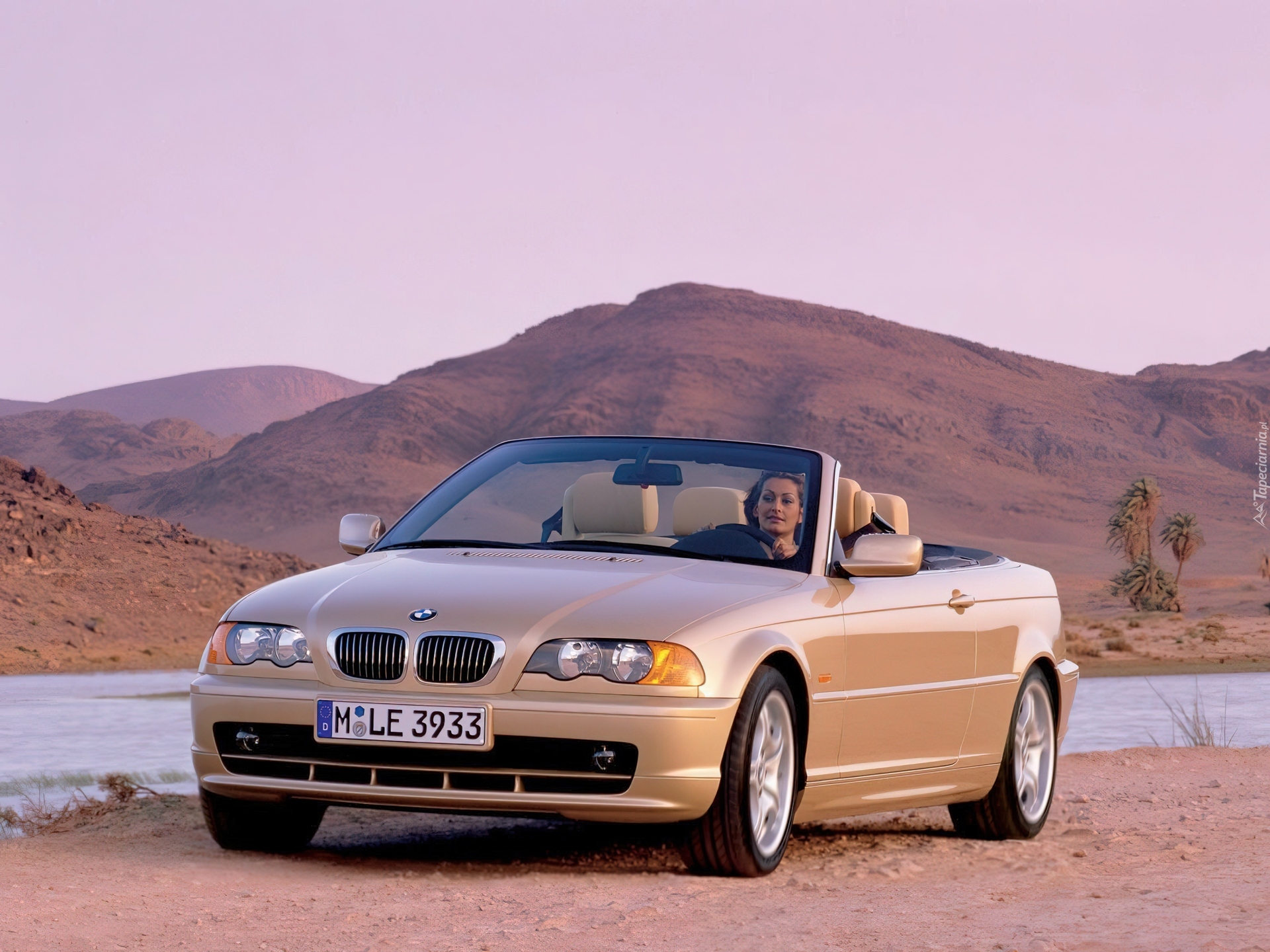 Zloty bmw #7