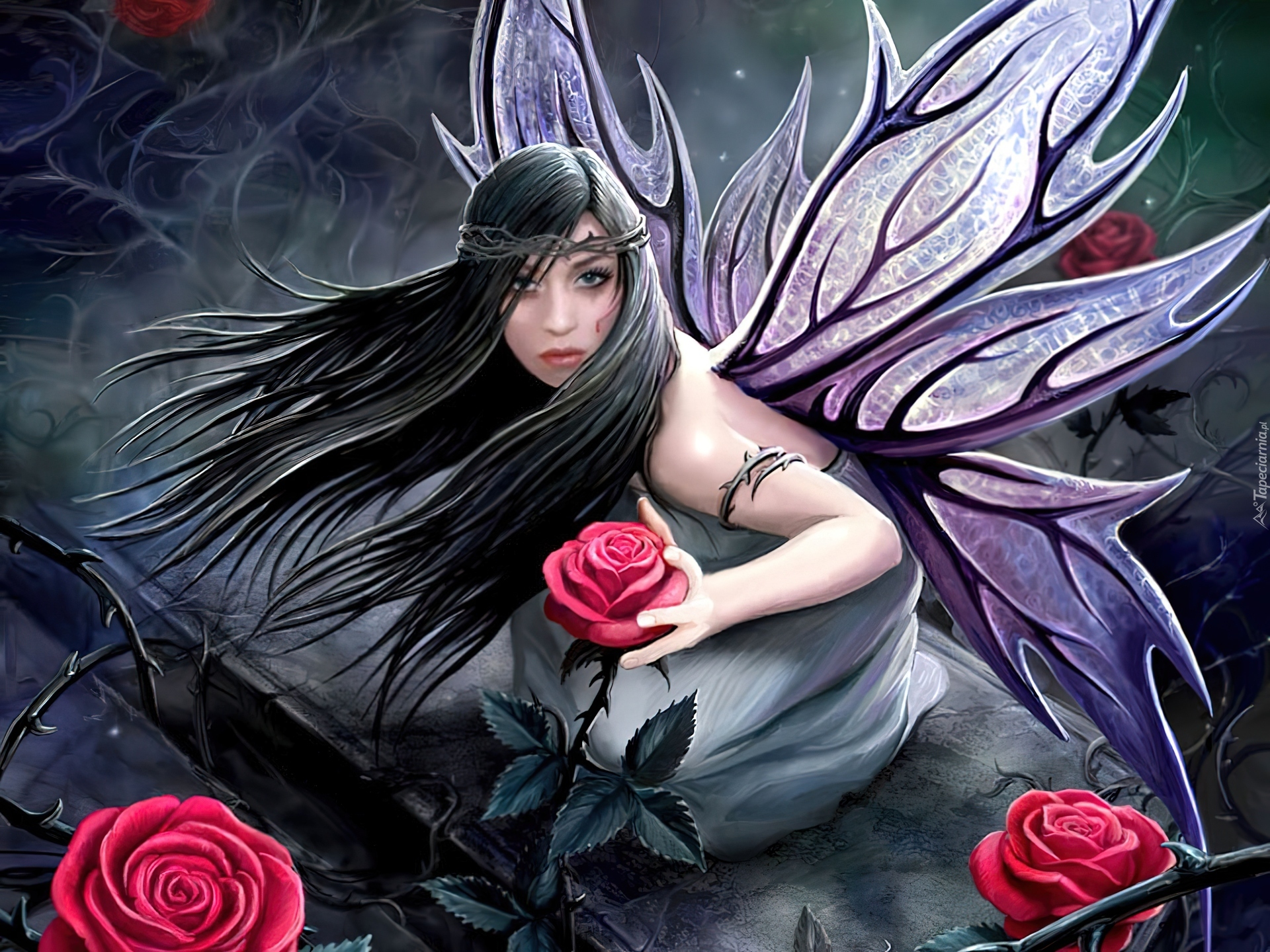 Kobieta, Motyl, Róże