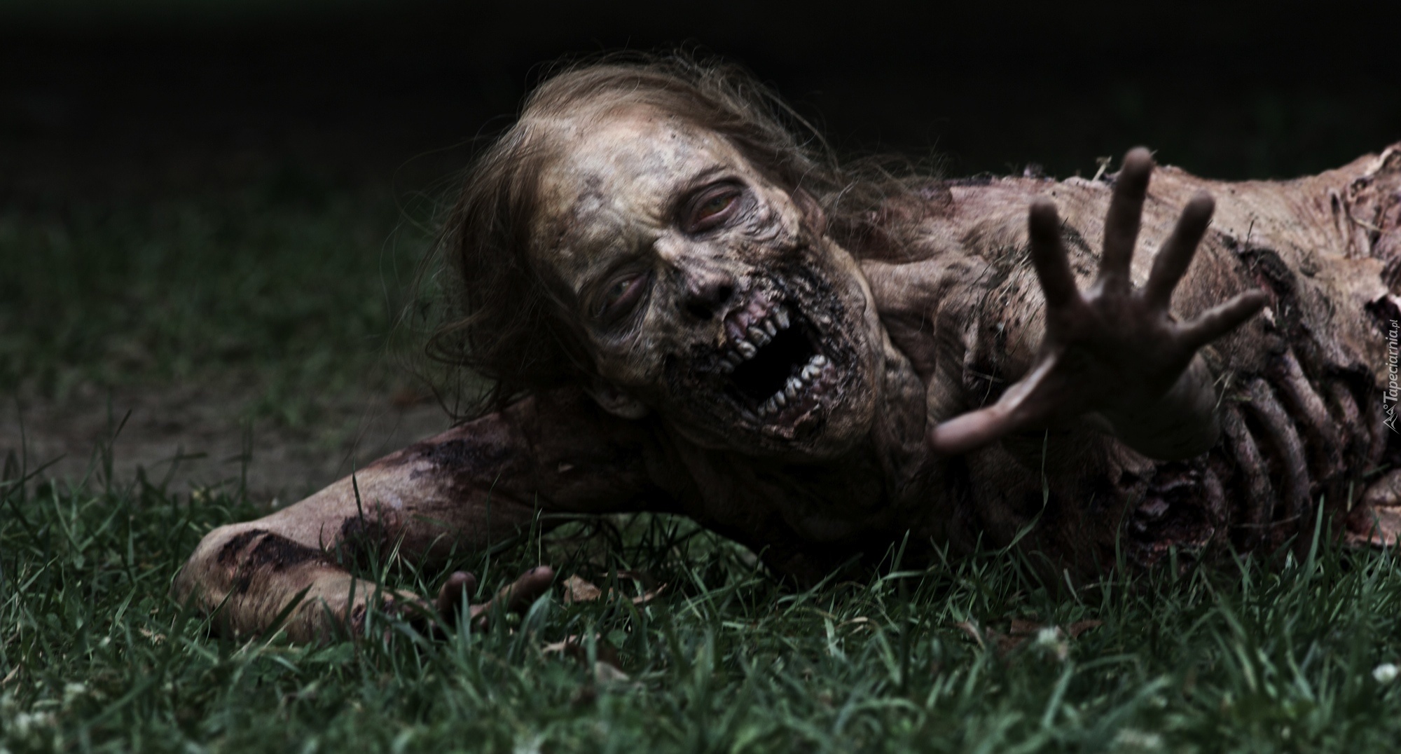 The Walking Dead, Żywe trupy, Kobieta, Zombie