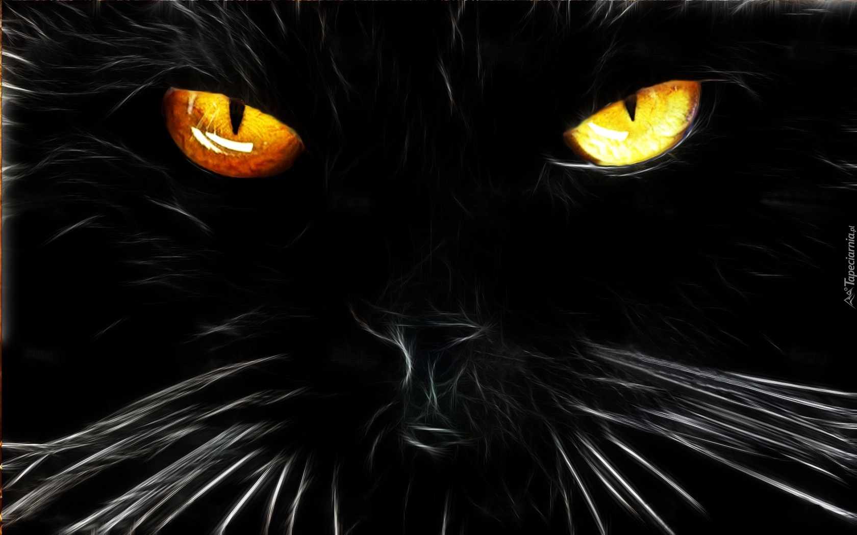 Czarny, Kot, Oczy, Fraktal