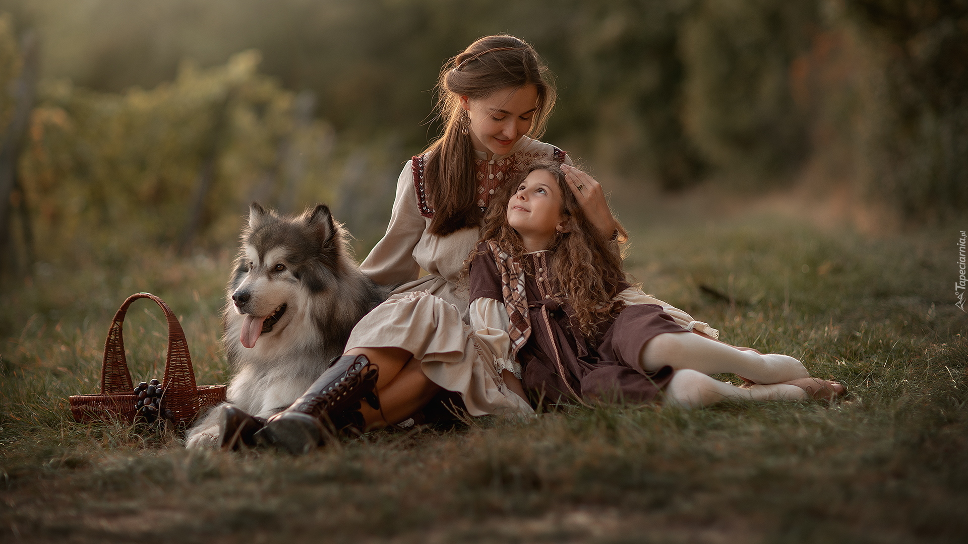 Kobieta, Dziecko, Dziewczynka, Pies, Alaskan malamute