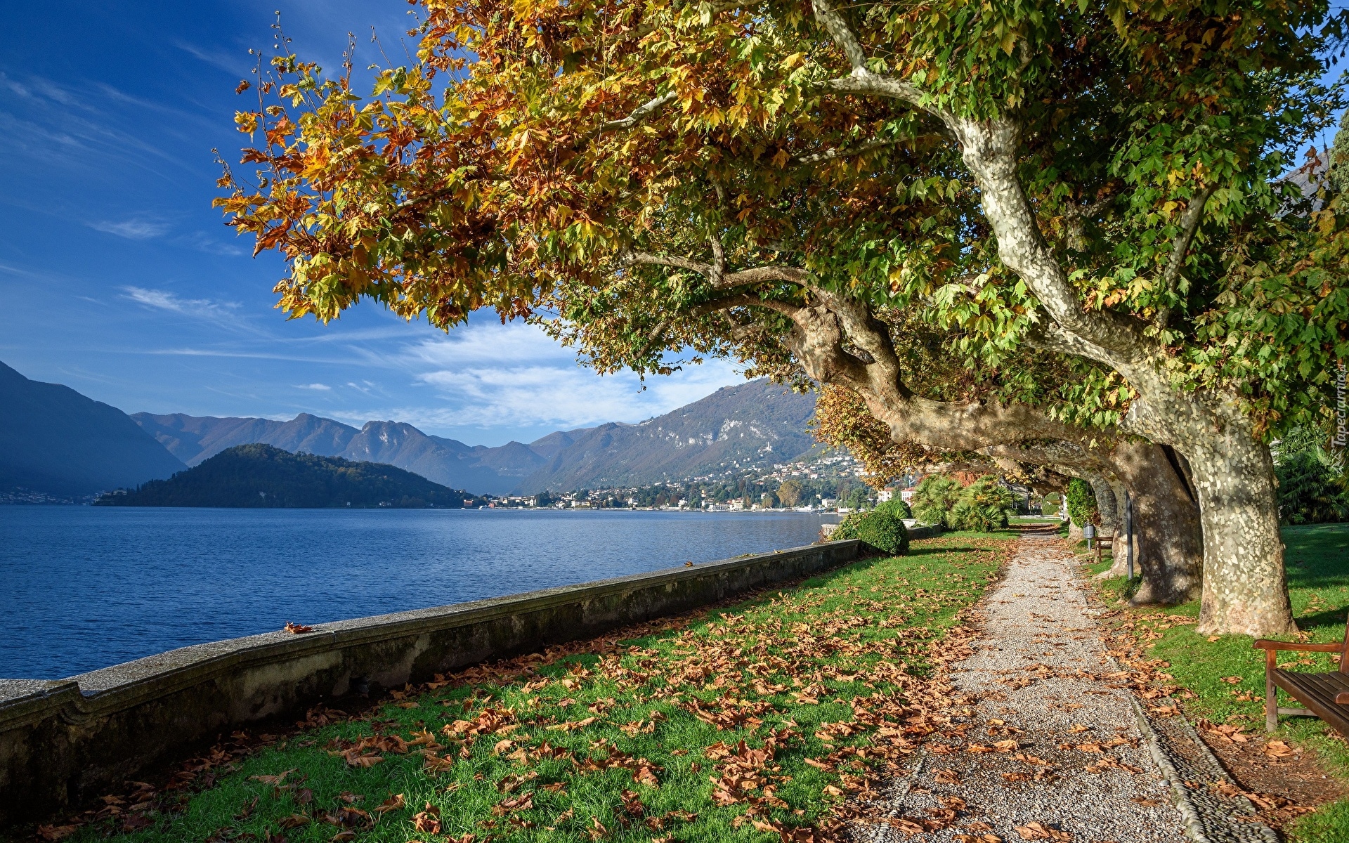 Włochy, Jezioro, Lago di Como, Aleja, Jesień, Drzewa