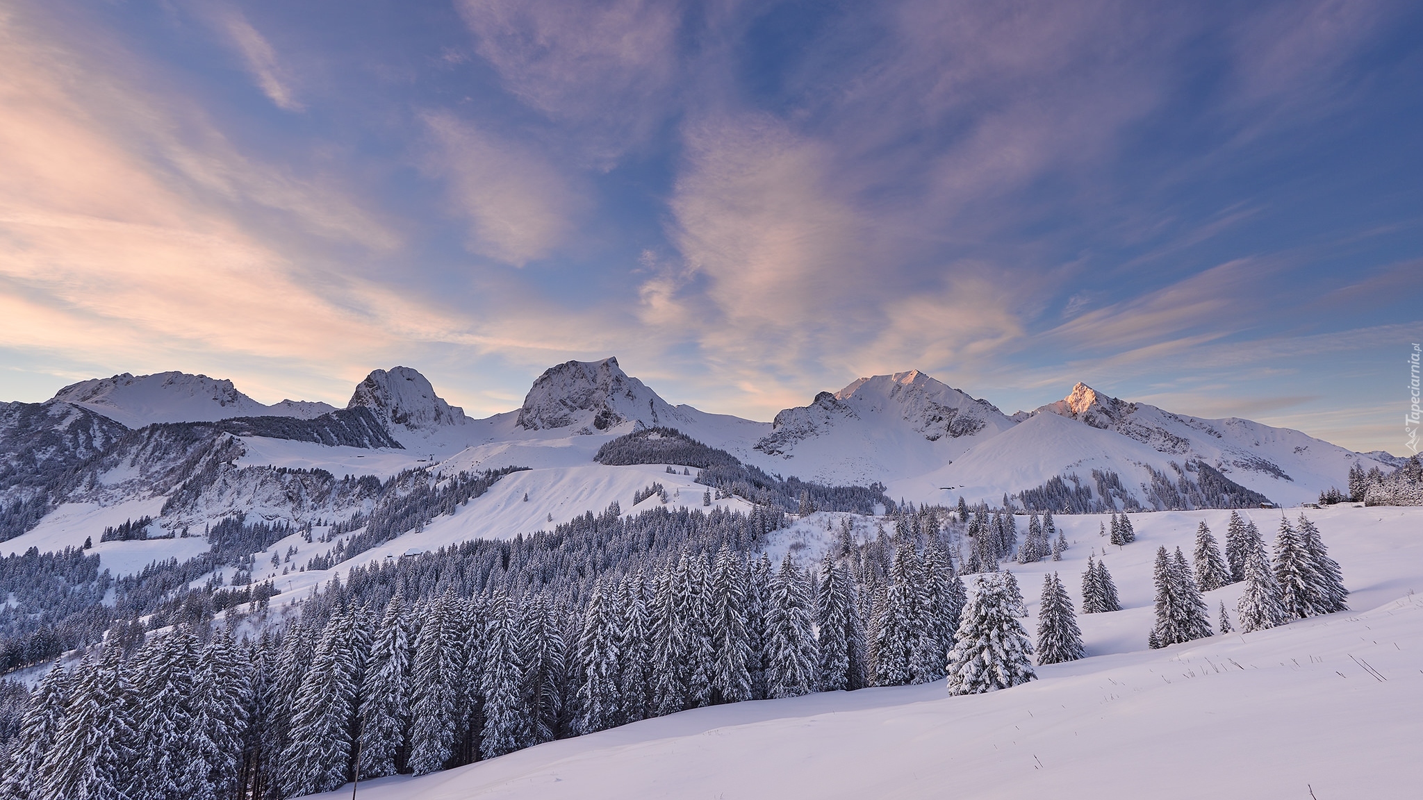 Zima, Góry, Alpy Berneńskie, Las, Drzewa, Chmury, Szwajcaria