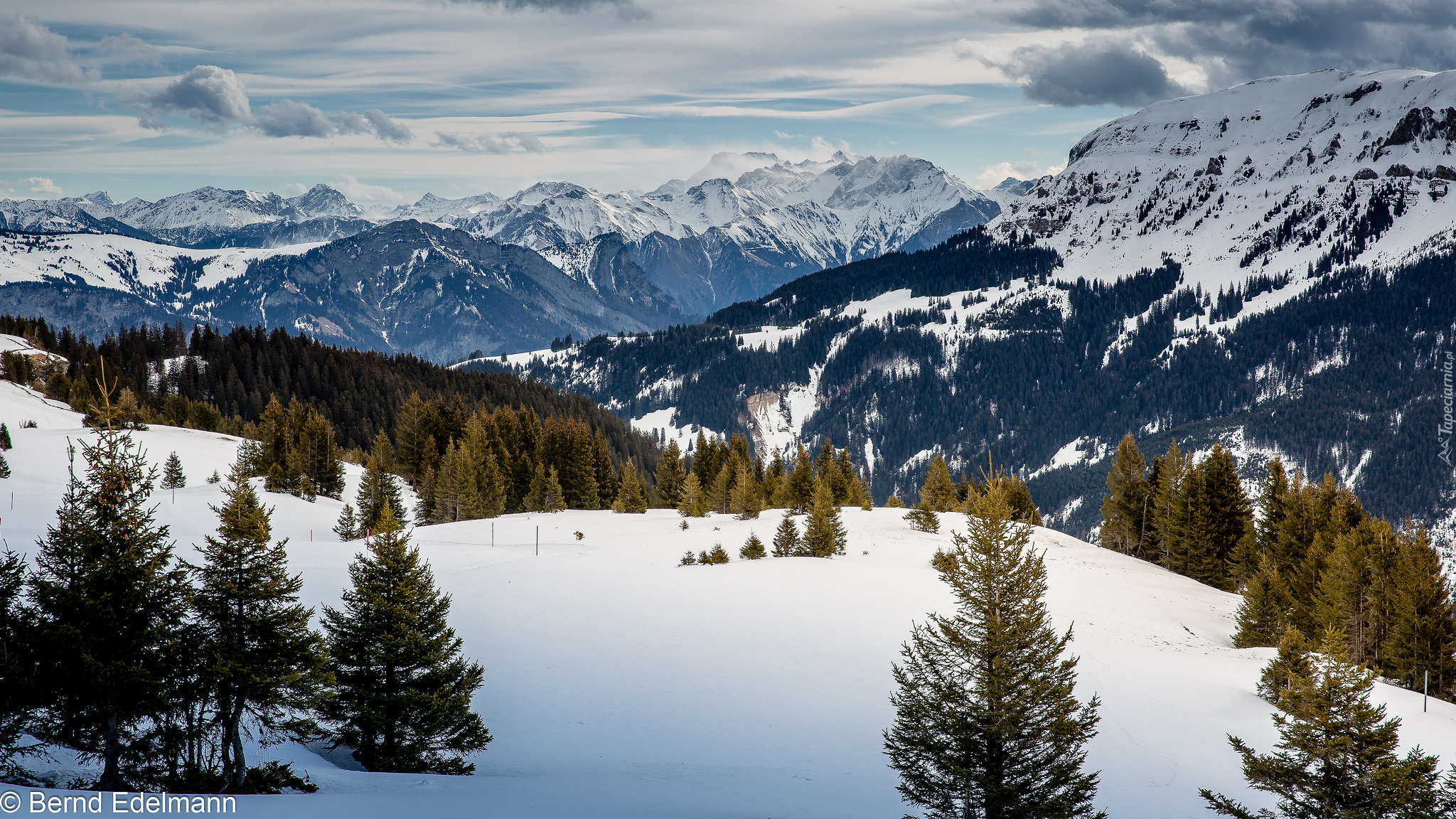 Szwajcaria, Alpy Glarneńskie, Góry, Zima, Drzewa