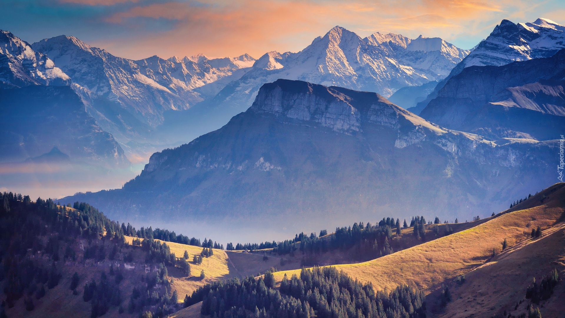 Góry, Alpy Szwajcarskie, Dolina, Drzewa, Szwajcaria
