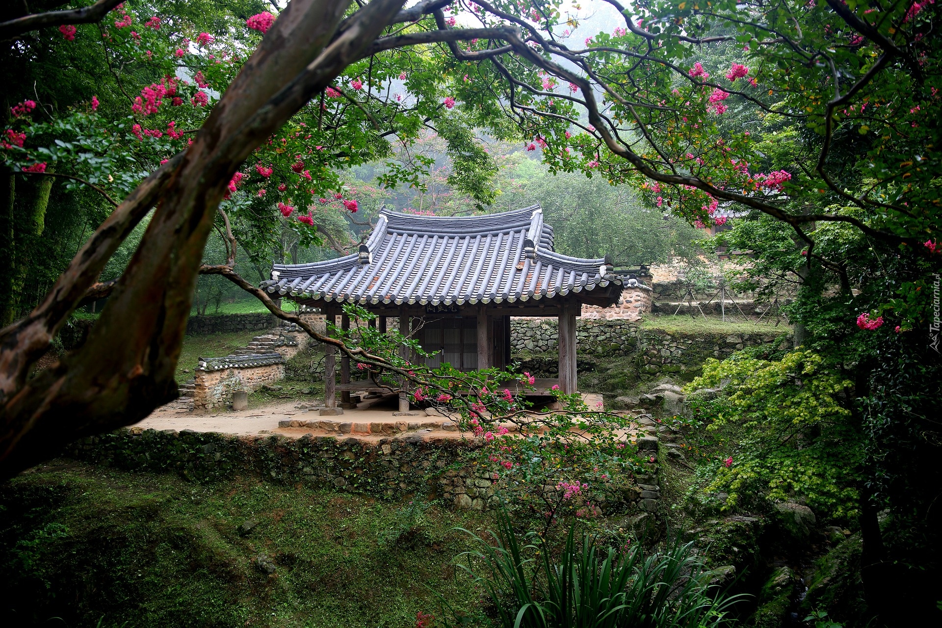 Altana, Ogród, Soswaewon Garden, Damyang, Korea Południowa