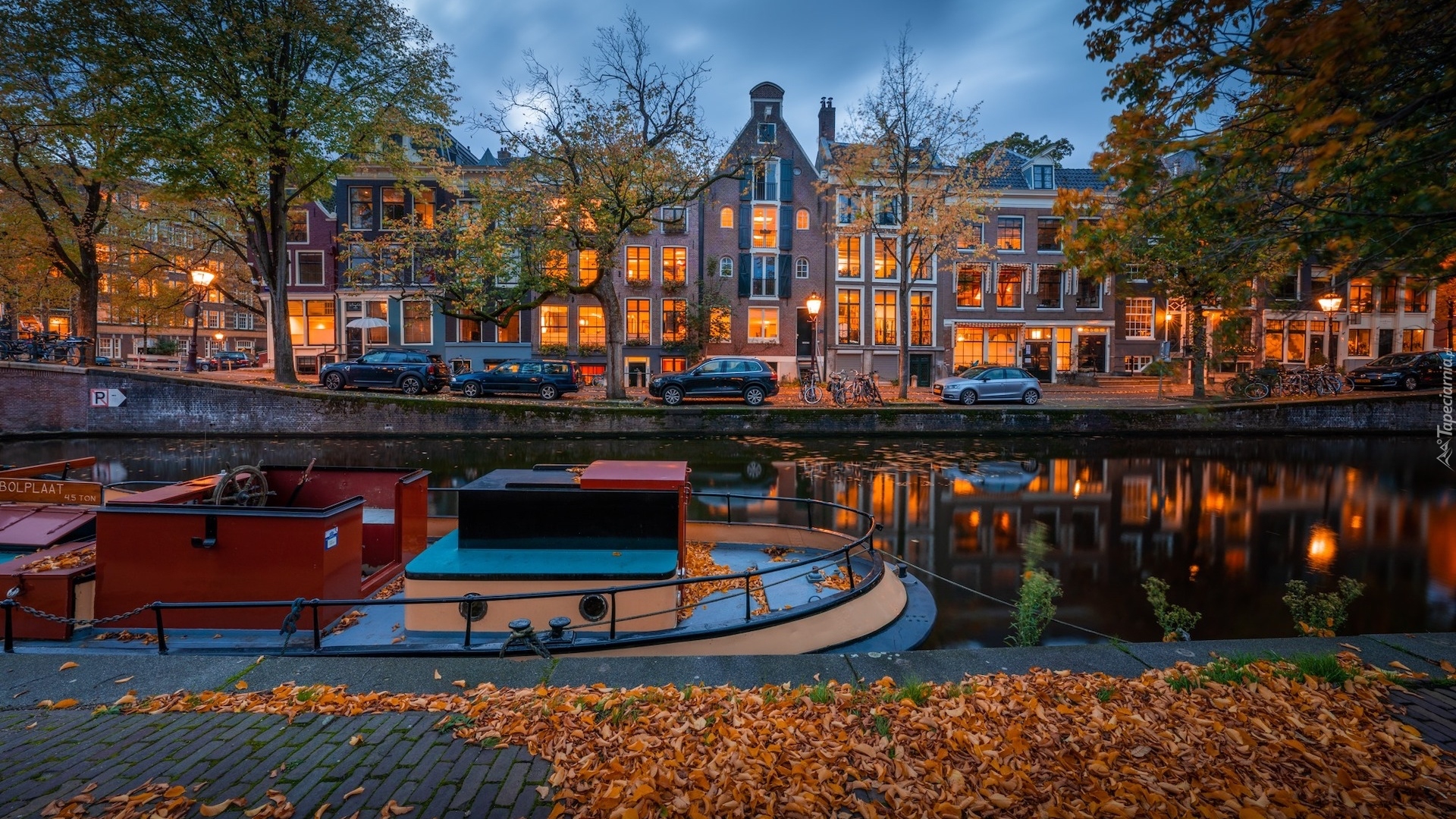 Holandia, Amsterdam, Domy, Kanał, Drzewa, Jesień