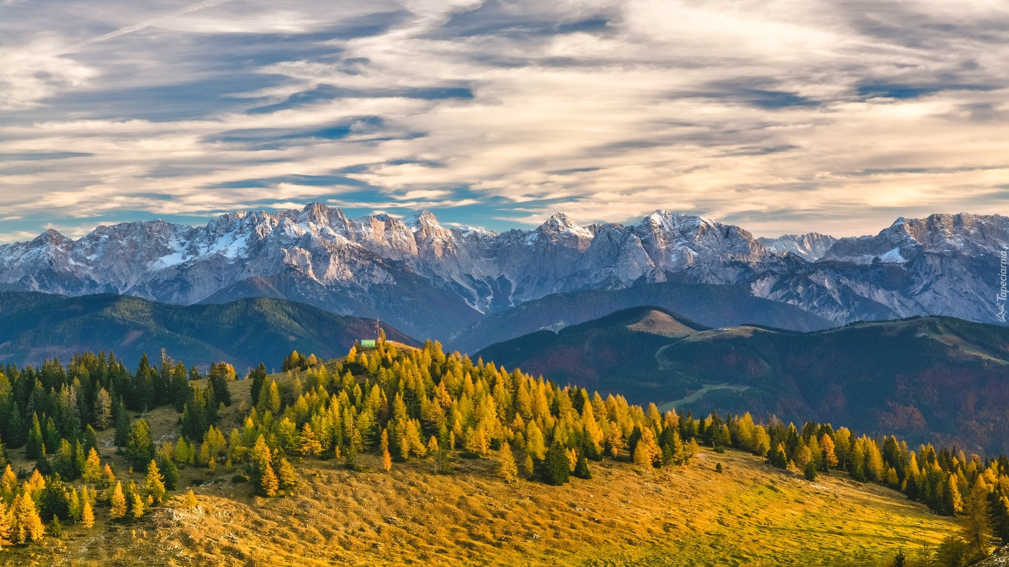 Austria, Karyntia, Góry Alpy, Alpy Julijskie, Drzewa