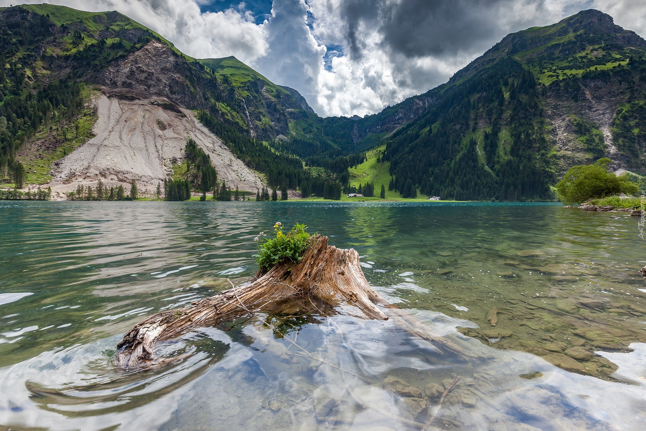 Jezioro, Konar, Góry, Austria