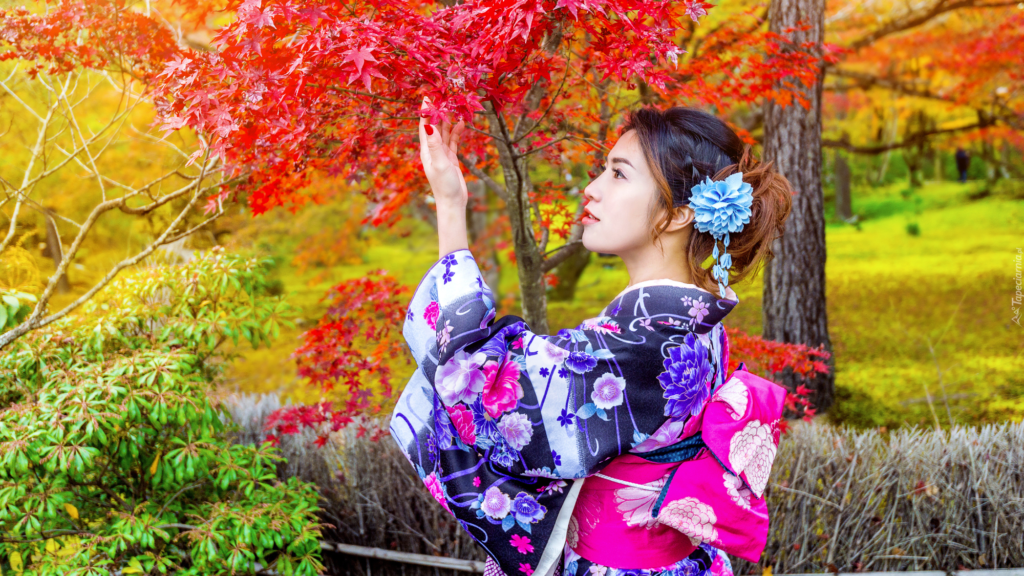 Azjatka, Kobieta, Kimono, Park, Drzewa, Jesień
