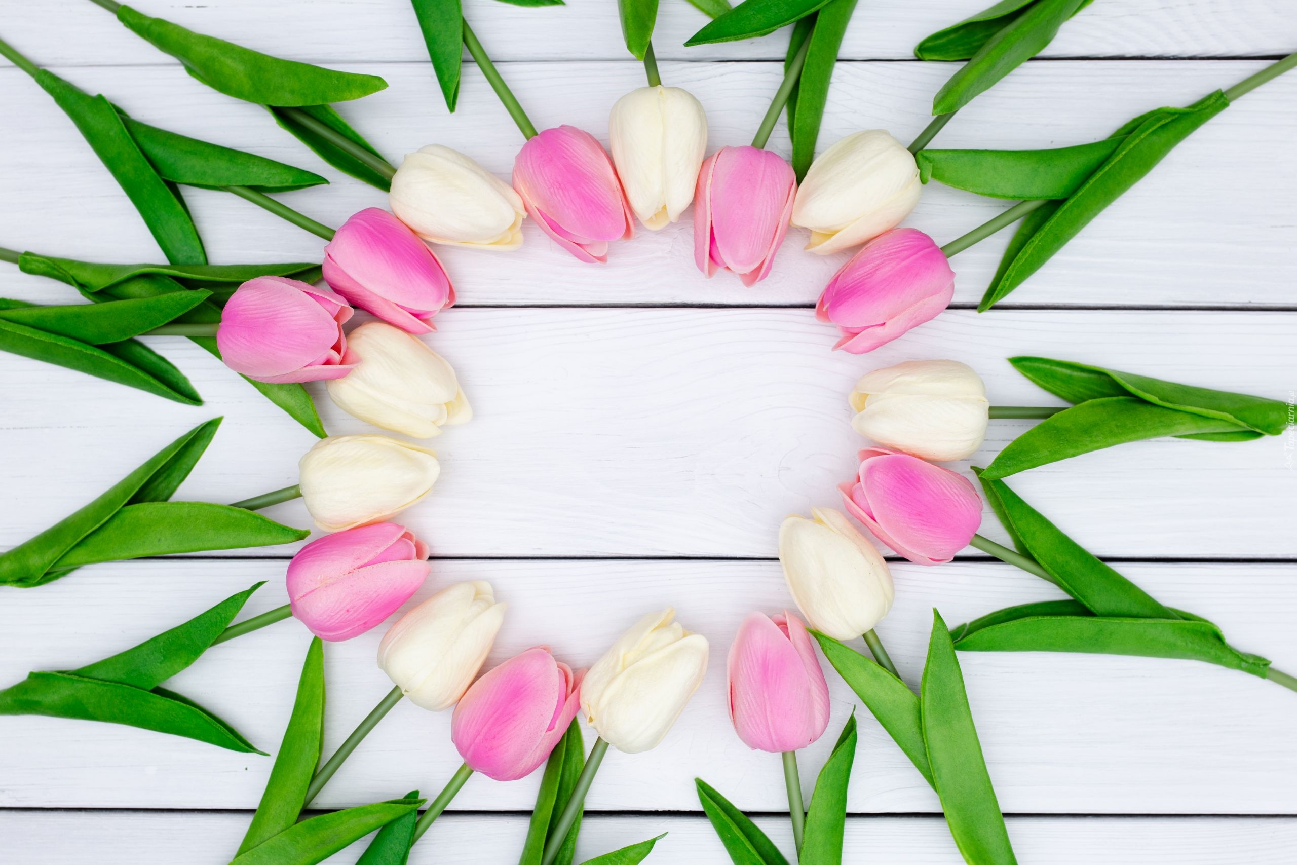 Kwiaty, Sztuczne, Białe, Różowe, Tulipany
