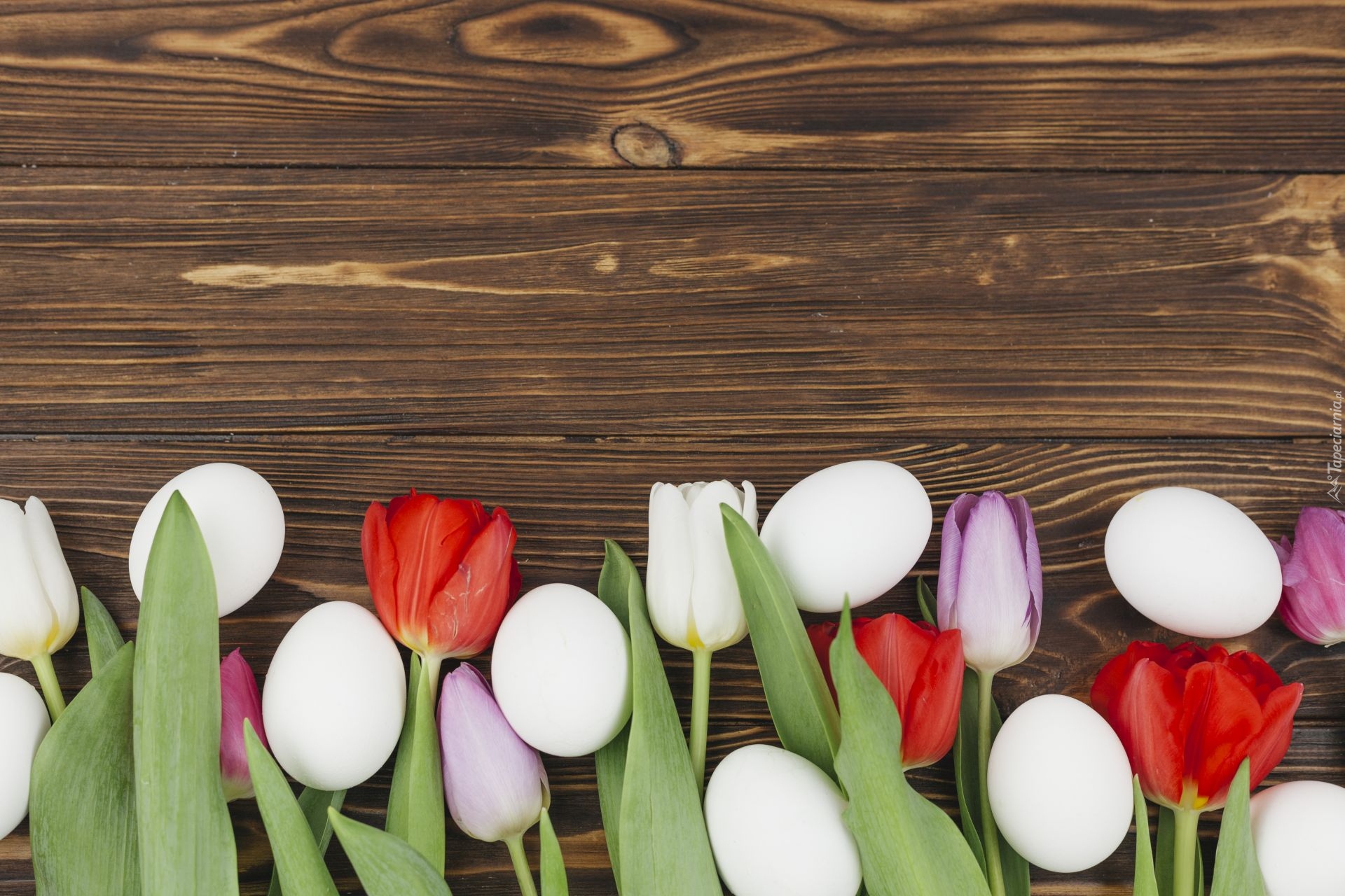 Wielkanoc, Białe, Jajka, Kwiaty, Tulipany