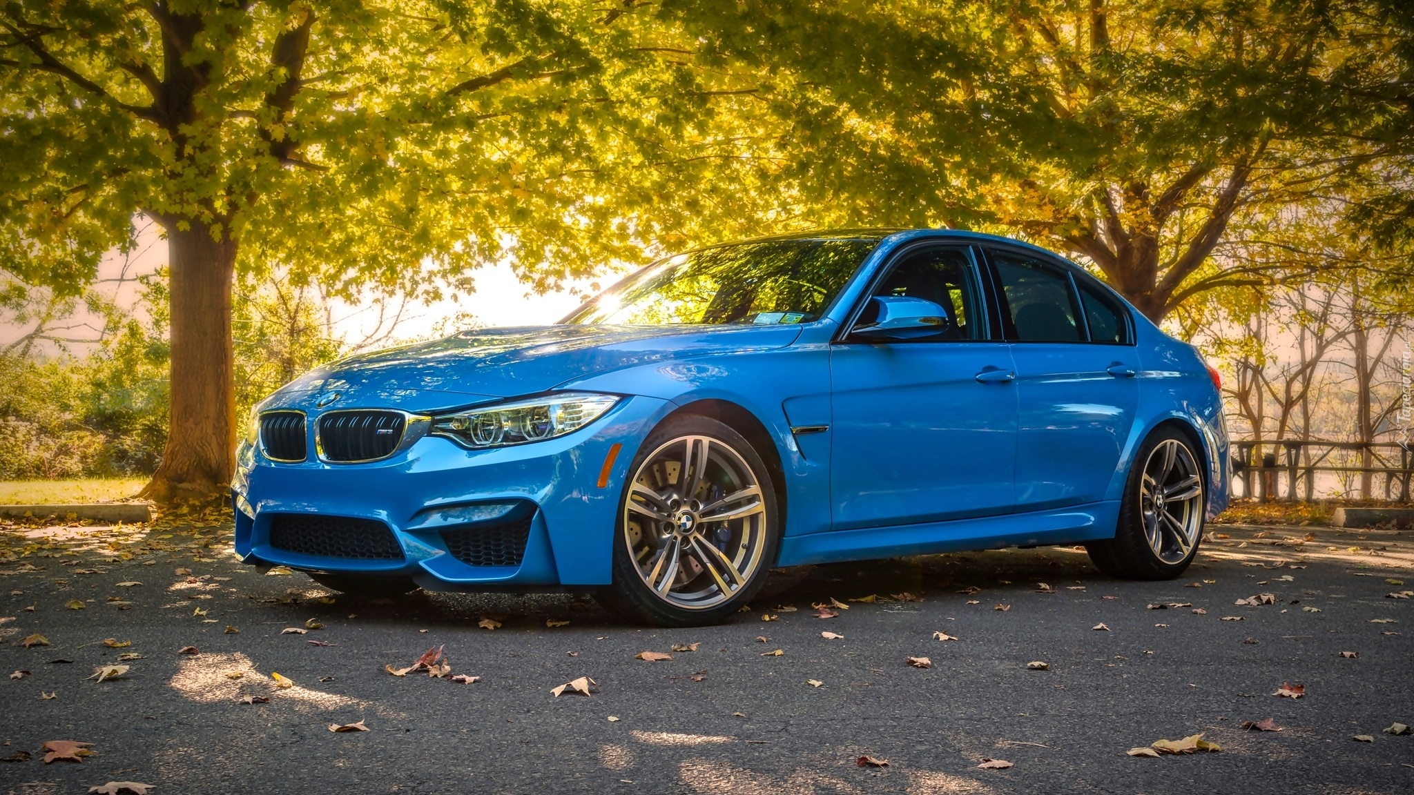 Niebieskie, BMW M3, F80, Sedan, 2014