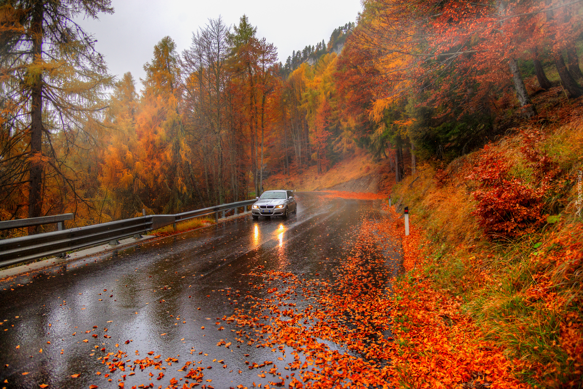 Jesień, Droga, Las, Drzewa, Liście, Samochód, BMW