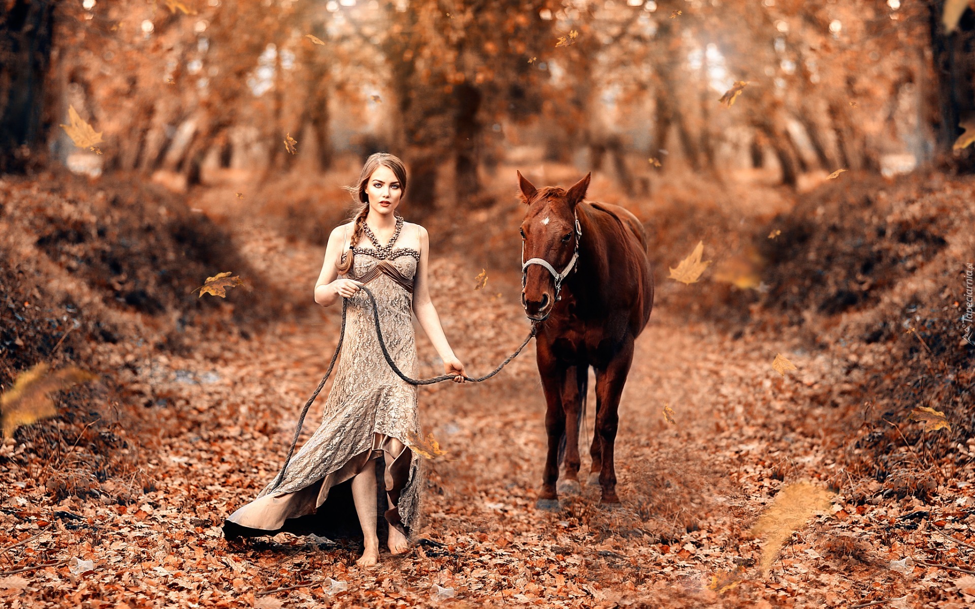 Las, Kobieta, Koń, Jesień